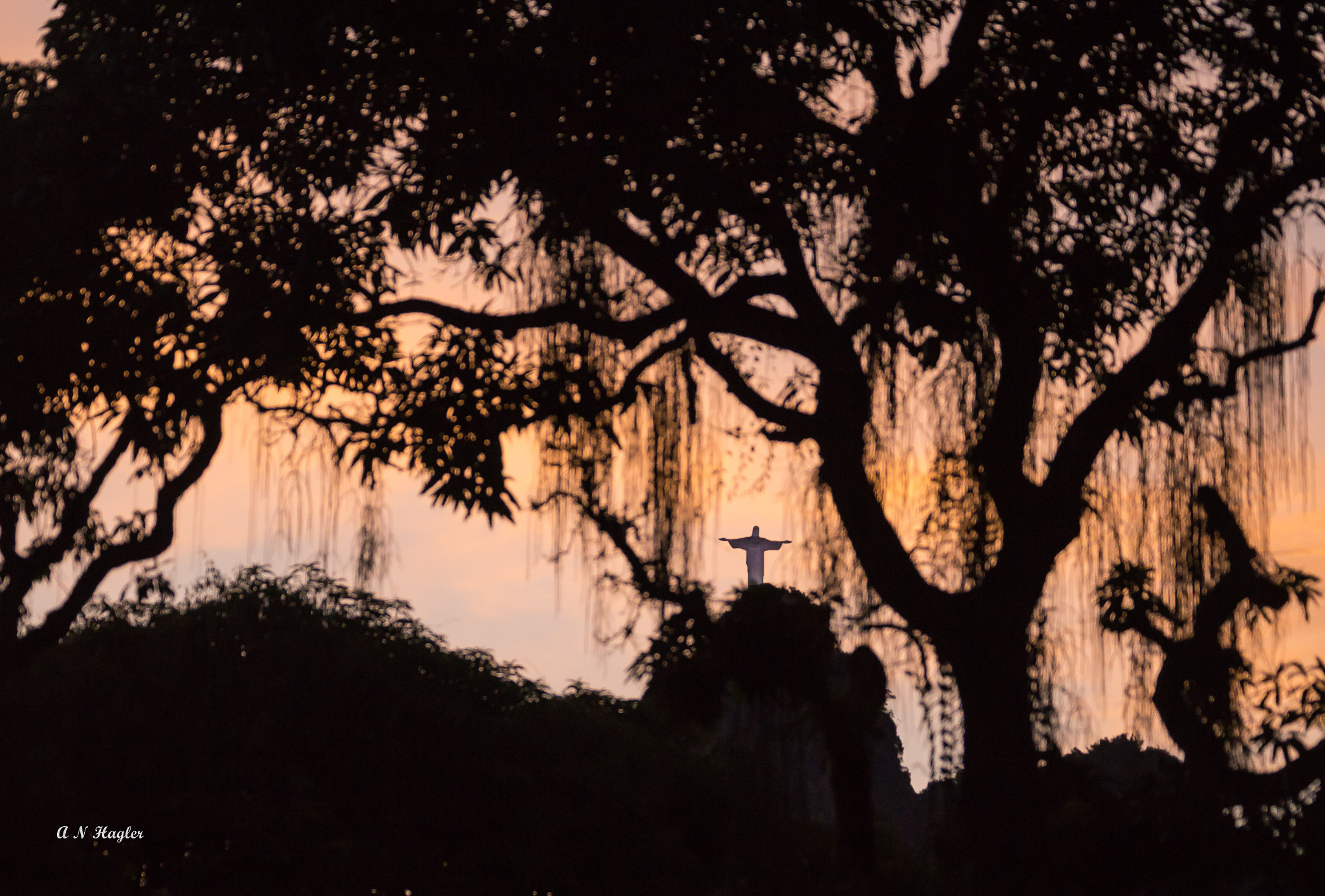 Tamron SP 70-300mm F4-5.6 Di USD sample photo. Corcovado at sunset through tree &amp; epiphytes photography