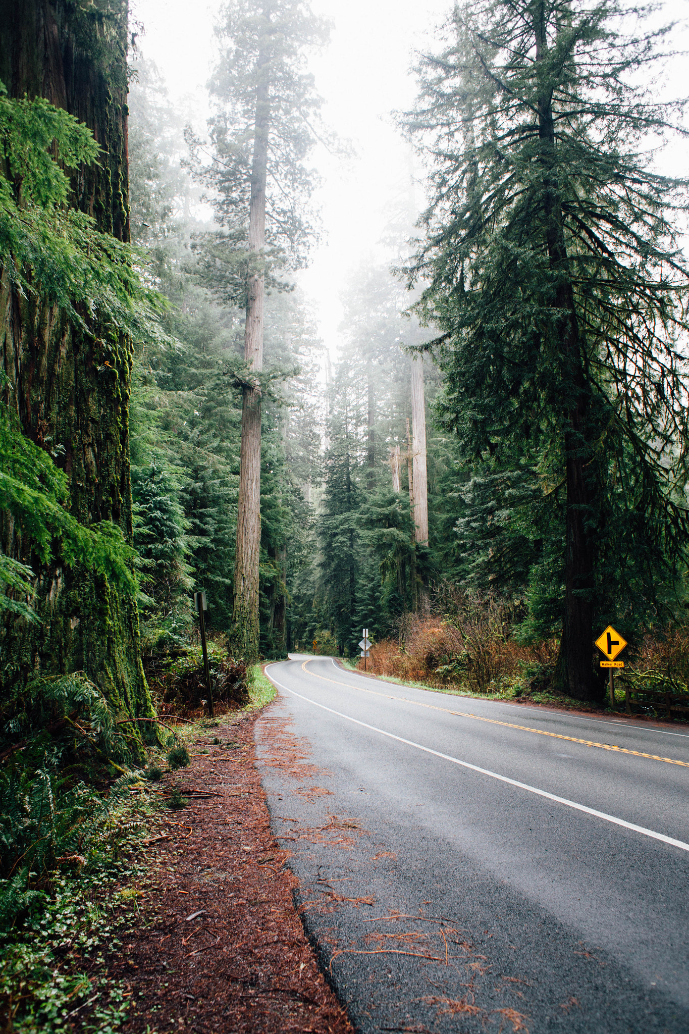 Canon EOS 5D + Canon EF 28mm F1.8 USM sample photo. Among the giants photography
