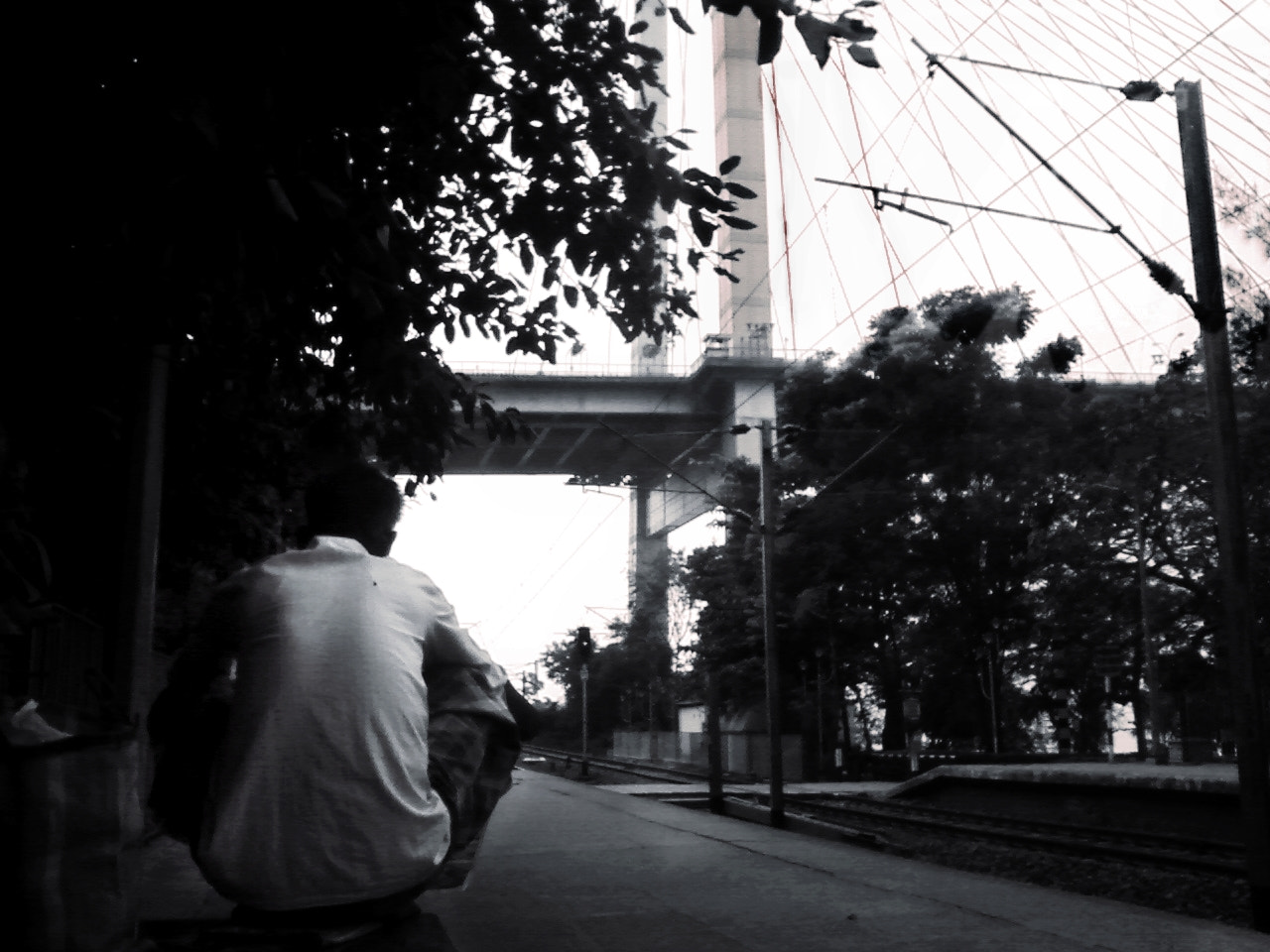 Samsung GT-C3222 sample photo. Alone photography