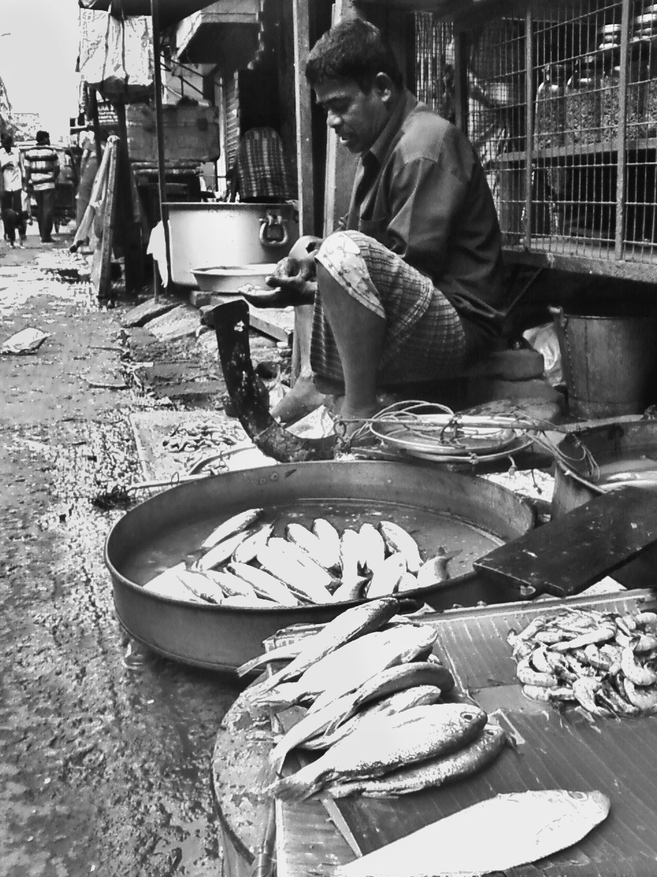Samsung GT-C3222 sample photo. Fish market photography