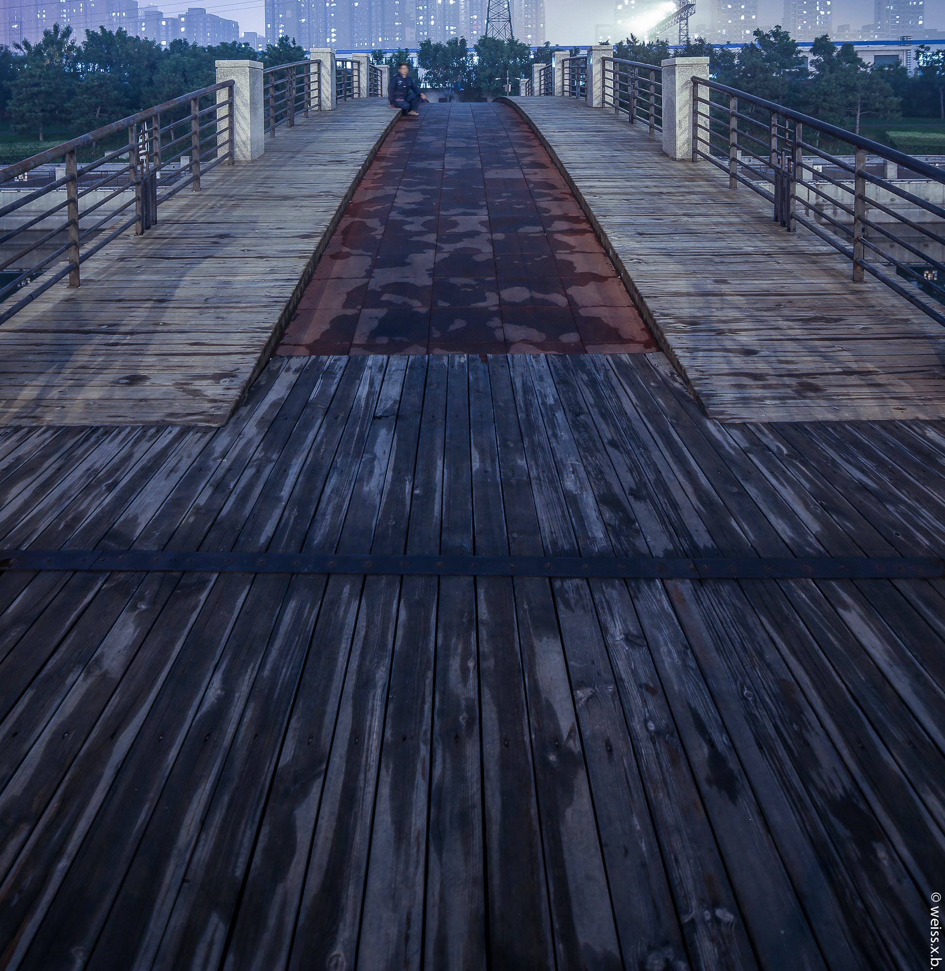 Canon TS-E 17mm F4L Tilt-Shift sample photo. Trees in city of beijing photography