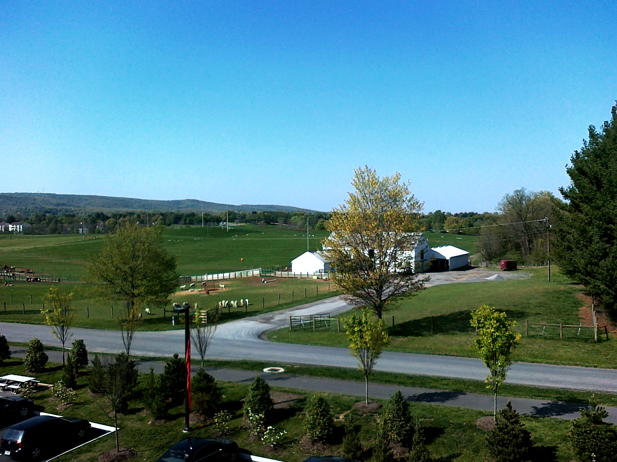 Nokia E52-1 sample photo. Fine day photography