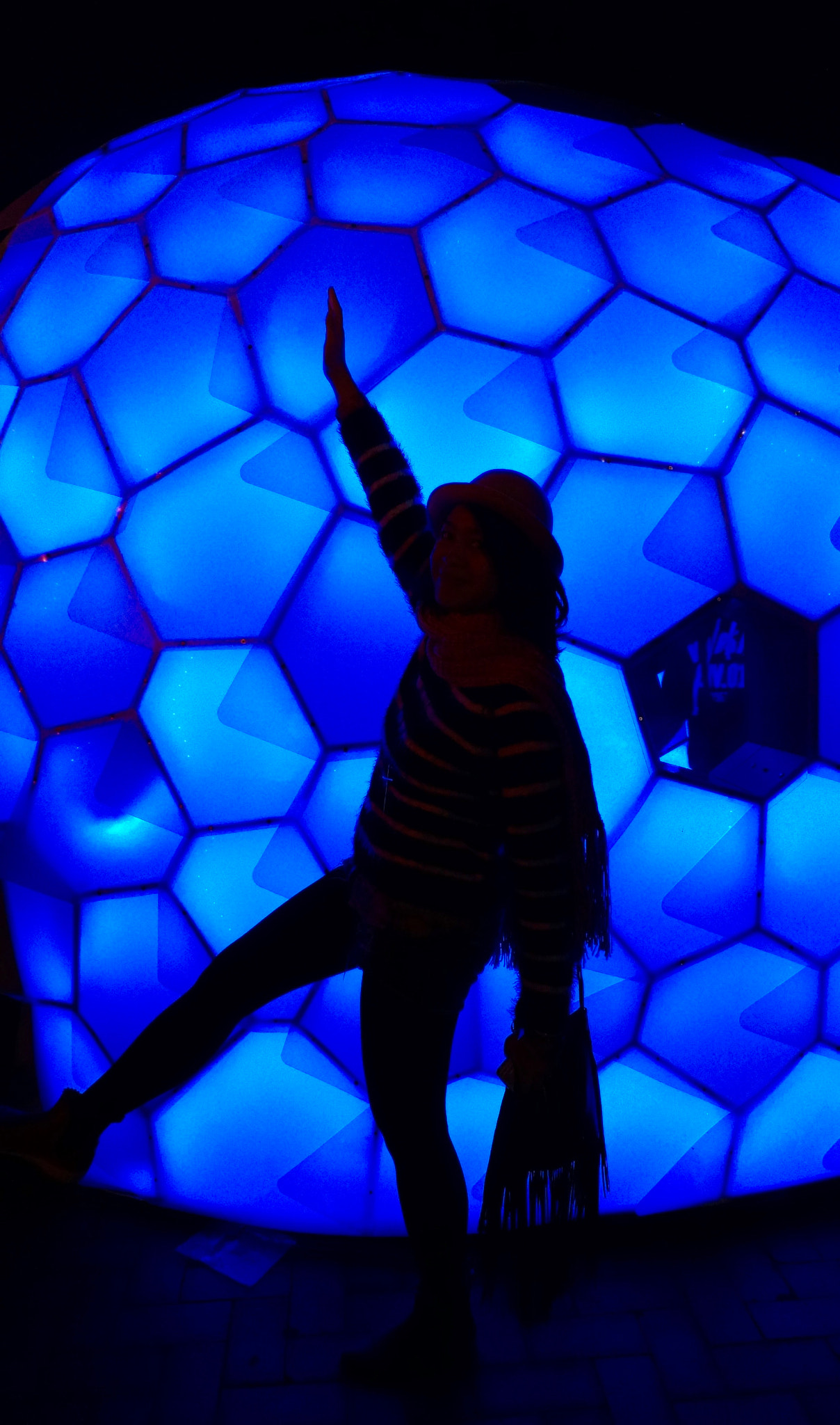 Sony Alpha NEX-5R + Sony E 18-50mm F4-5.6 sample photo. Vivid sydney - blue shadow photography