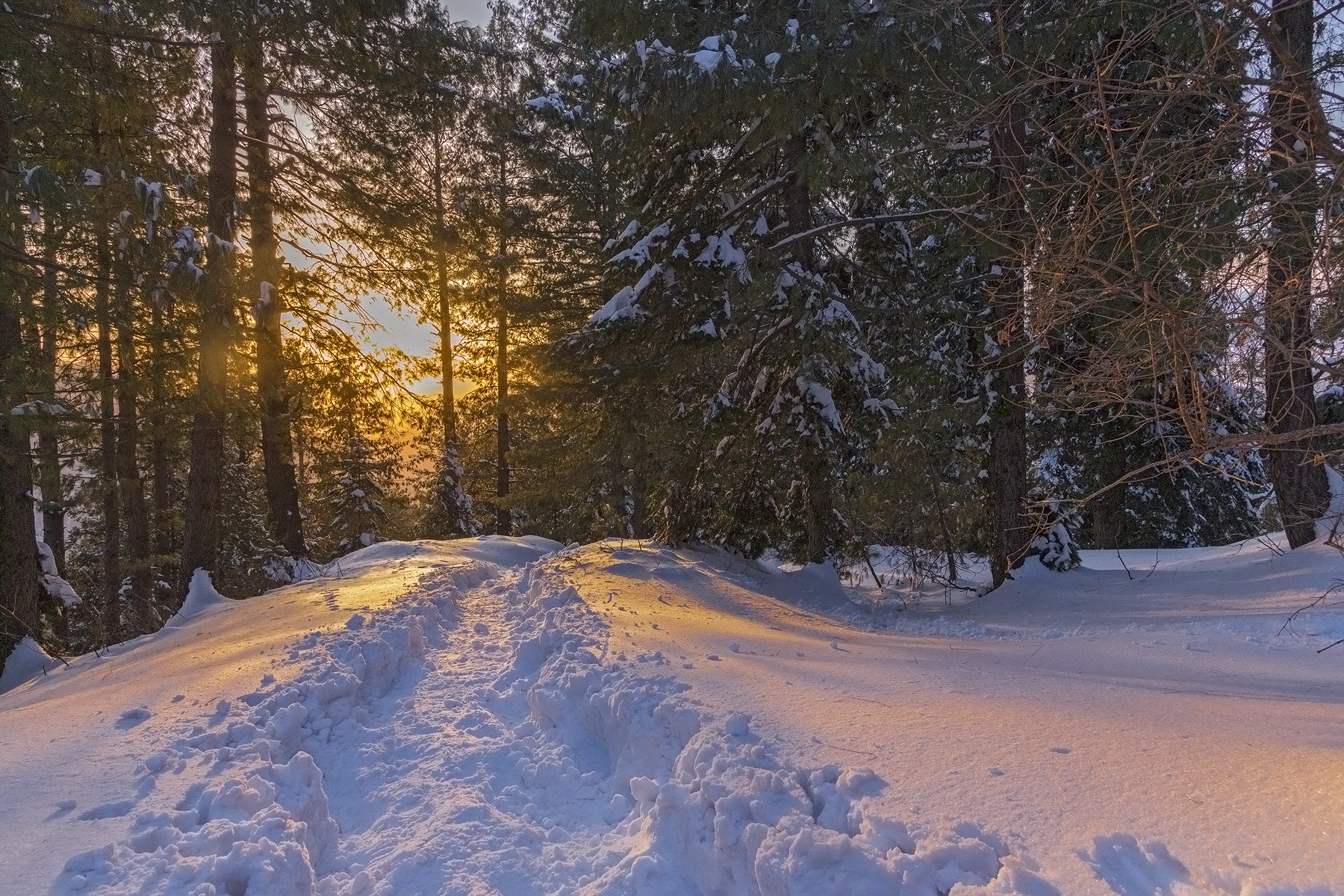 Canon EOS 650D (EOS Rebel T4i / EOS Kiss X6i) sample photo. A path through the snow photography