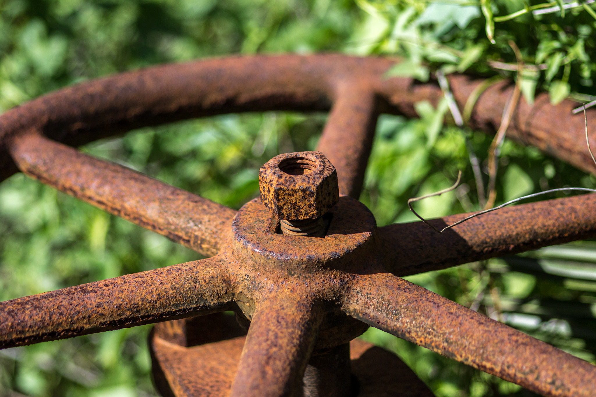 Sigma 105mm F2.8 EX DG Macro sample photo. La trip feb 2016 - day 2 photography