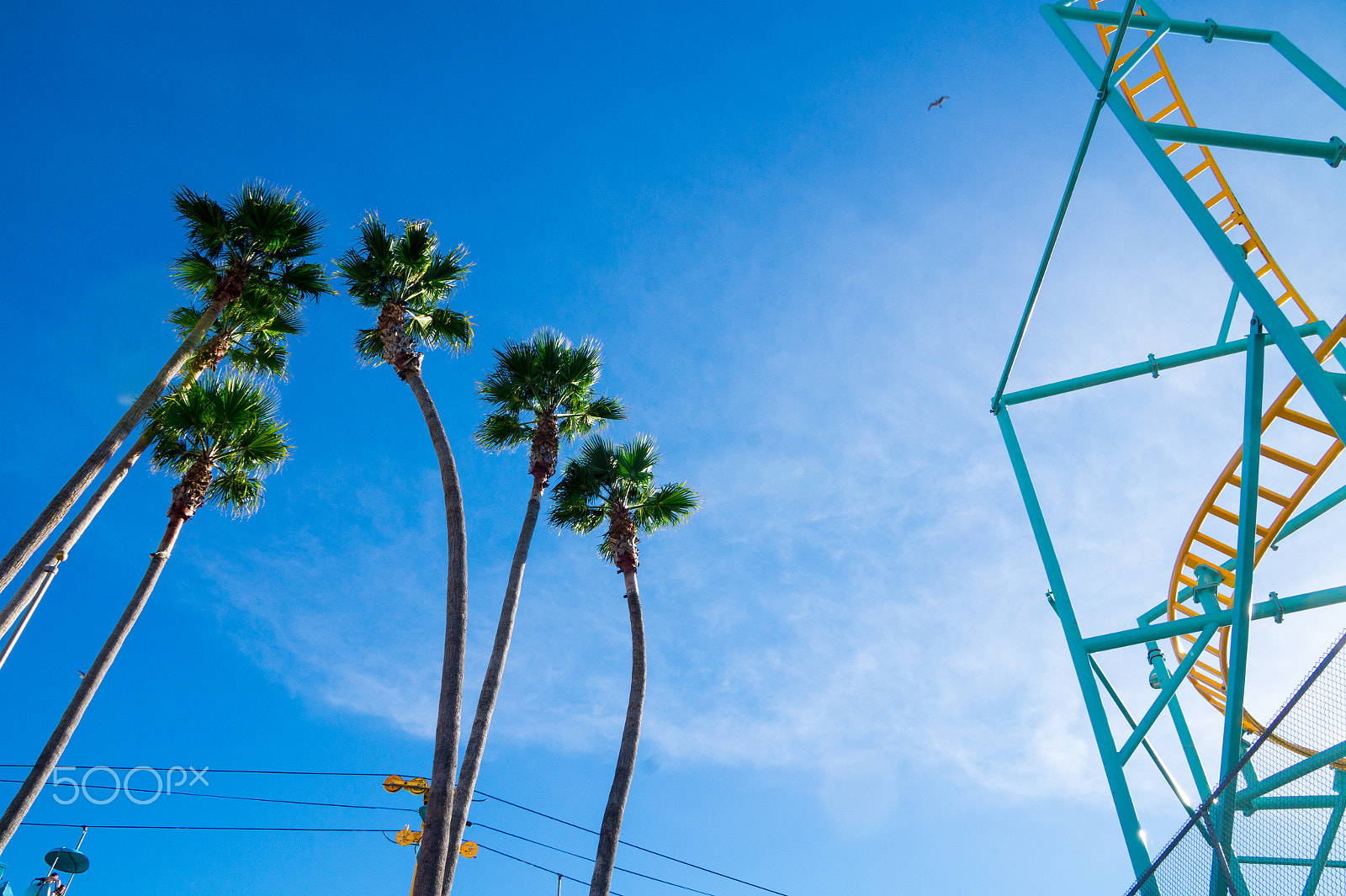 Sony E 18-200mm F3.5-6.3 OSS sample photo. Palms, coaster, california photography