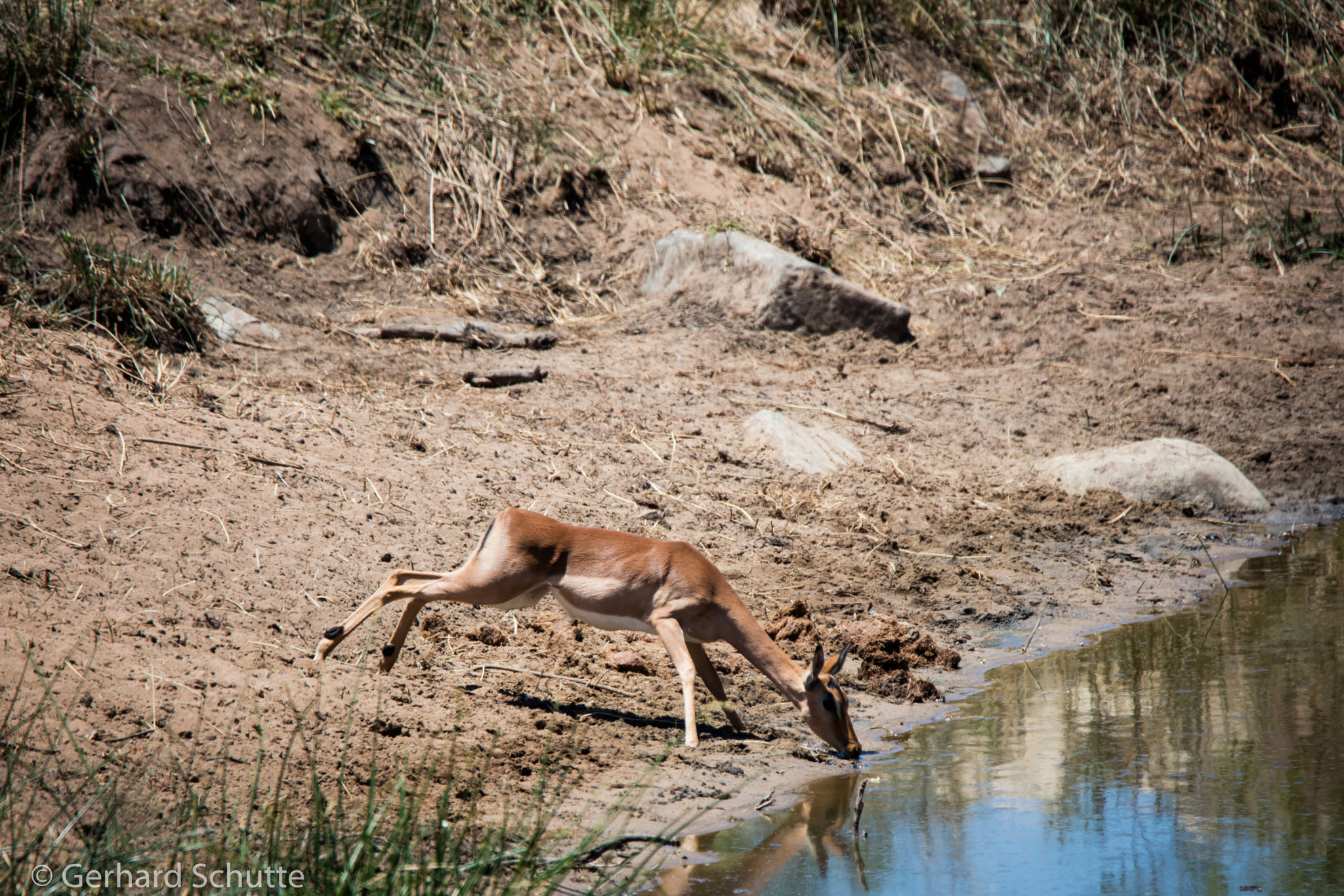 Tamron SP 150-600mm F5-6.3 Di VC USD sample photo. Jittery photography