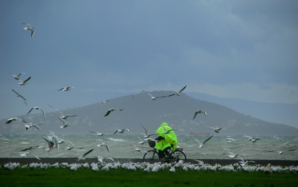 Nikon D70s sample photo. Storm 3 photography