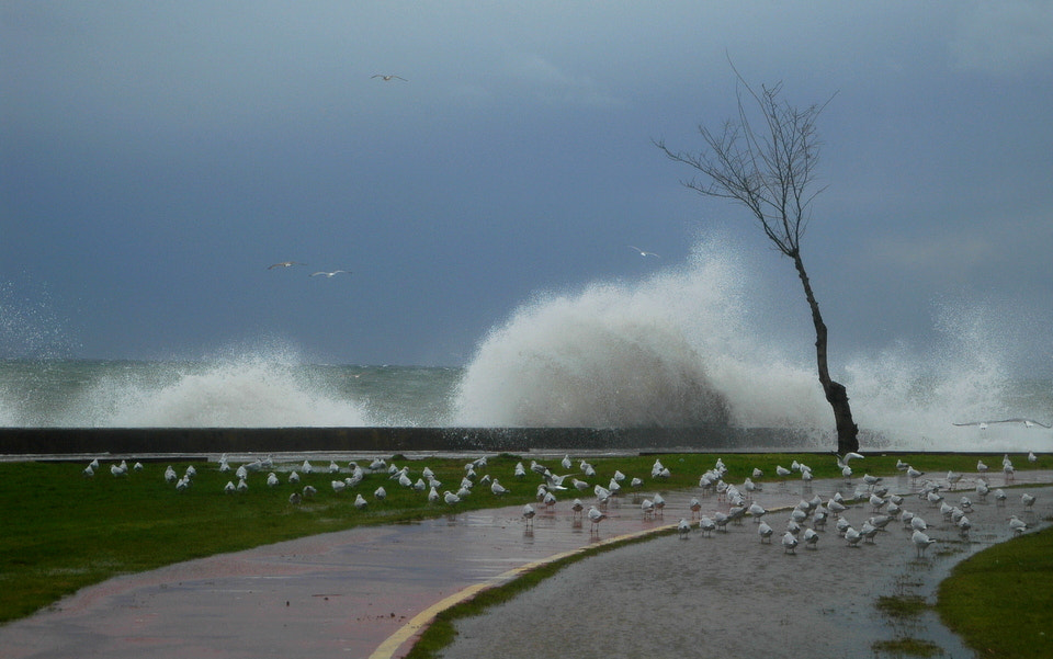 Nikon D70s sample photo. Storm 4 photography