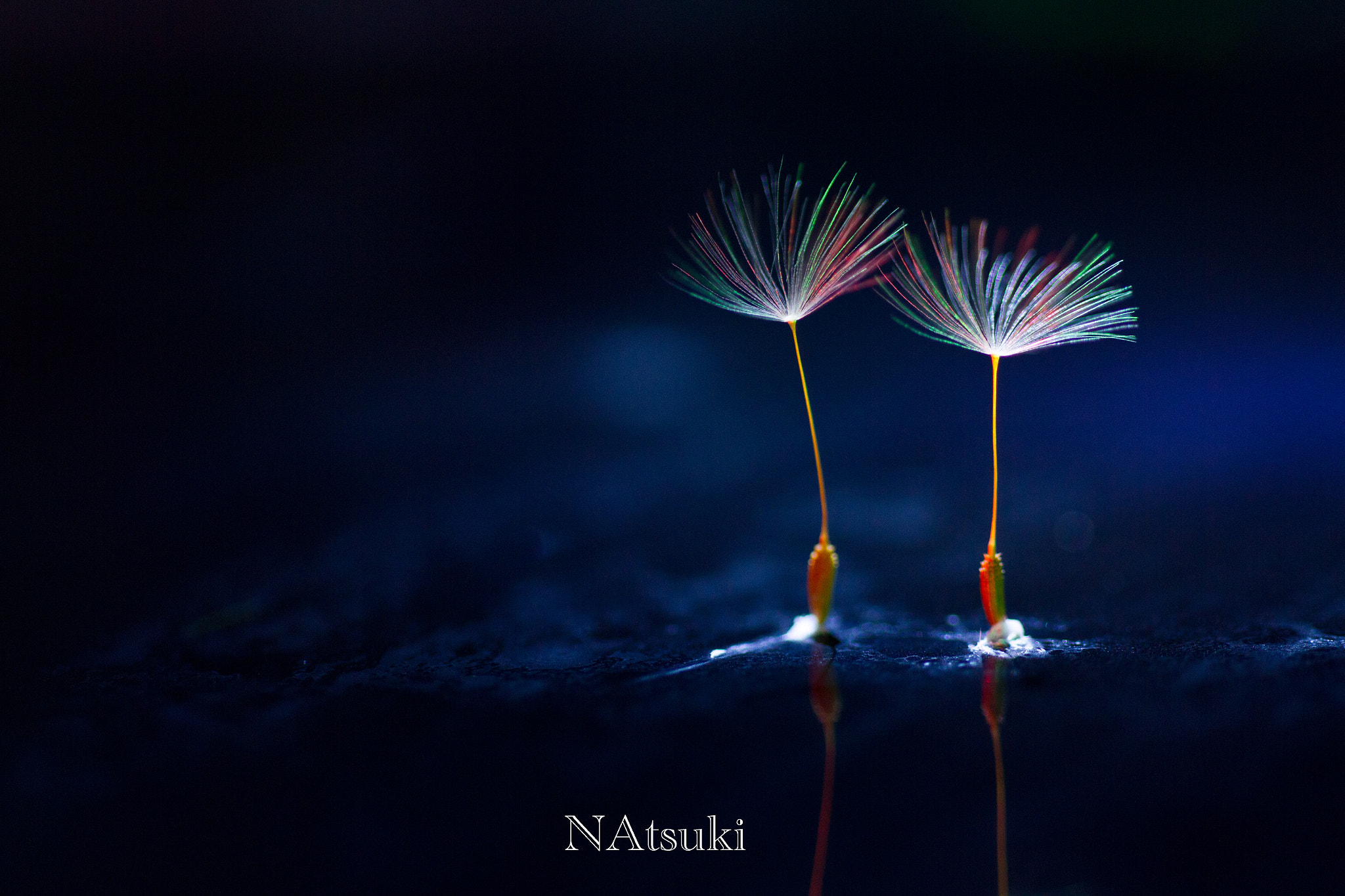 Sigma 50mm f/1.4 EX DG HSM + 1.4x sample photo. Rainbow photography