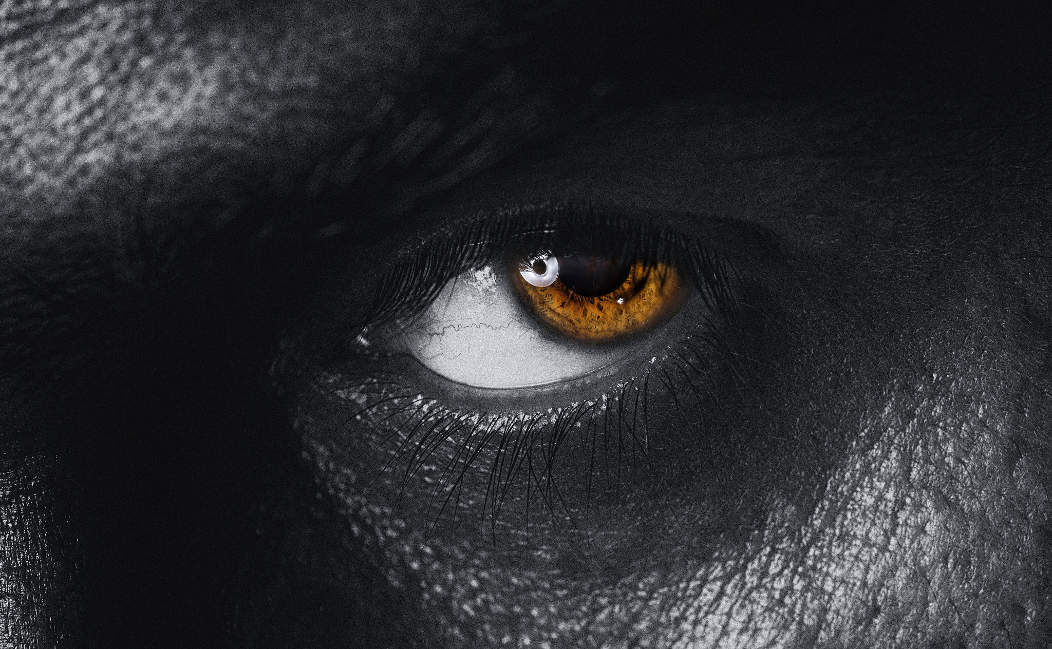 Sigma 150mm F2.8 EX DG Macro HSM sample photo. My eye photography