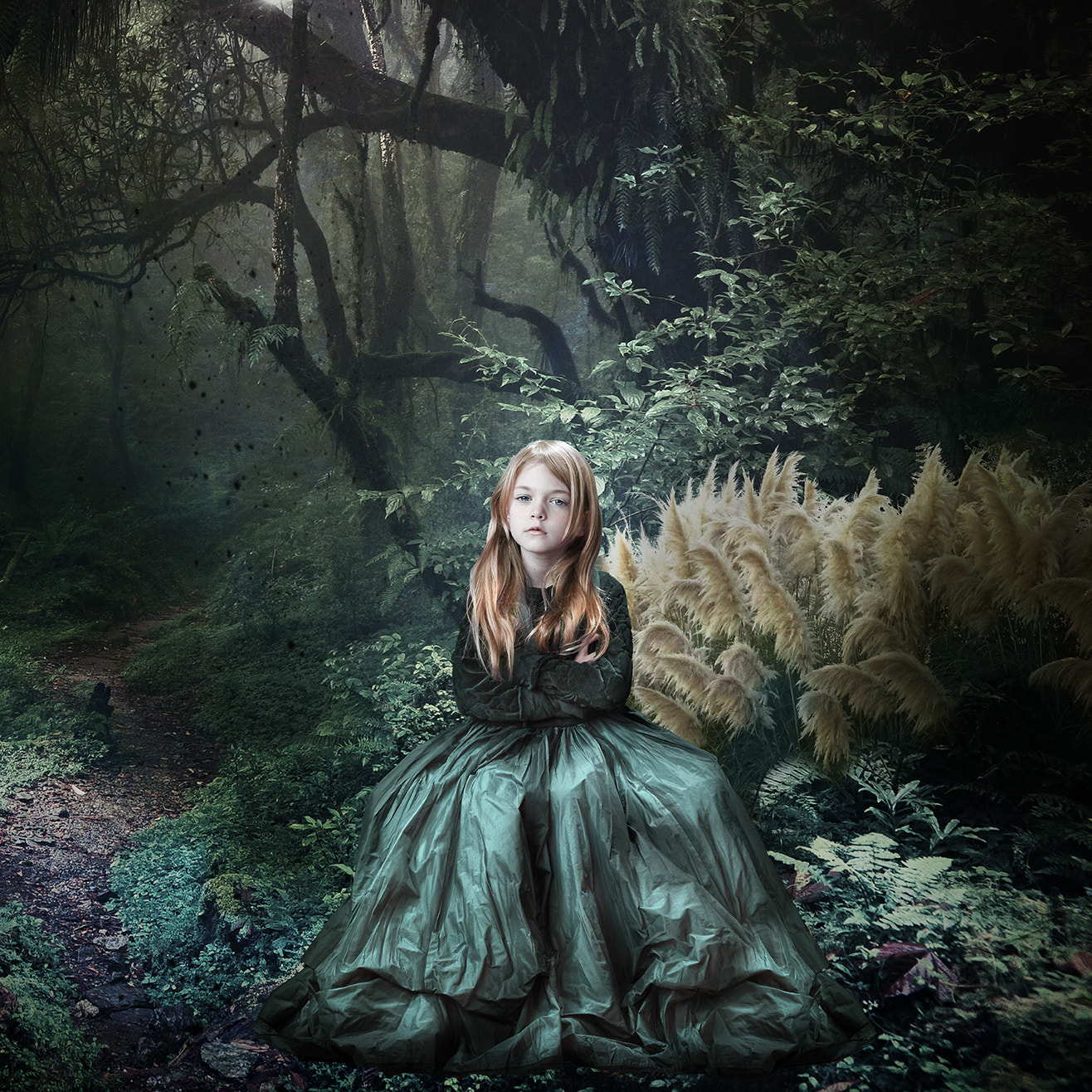 Phase One P40+ sample photo. Forest photography