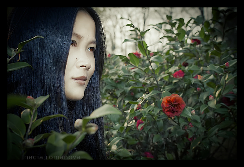 Canon EOS 50D + Canon EF-S 18-55mm F3.5-5.6 IS STM sample photo. Chinese rose photography