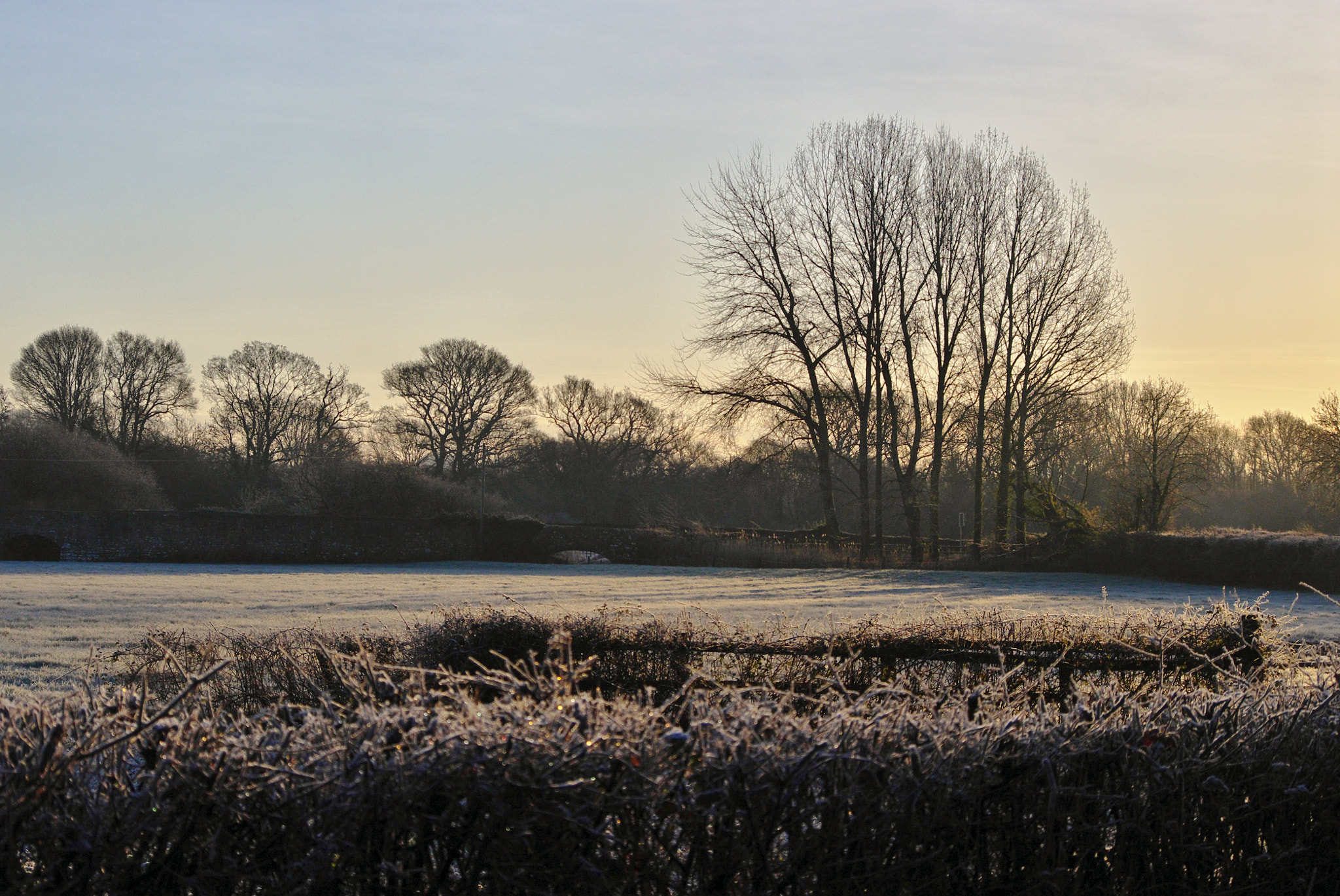 smc PENTAX-DA L 50-200mm F4-5.6 ED sample photo. Winter in devon photography