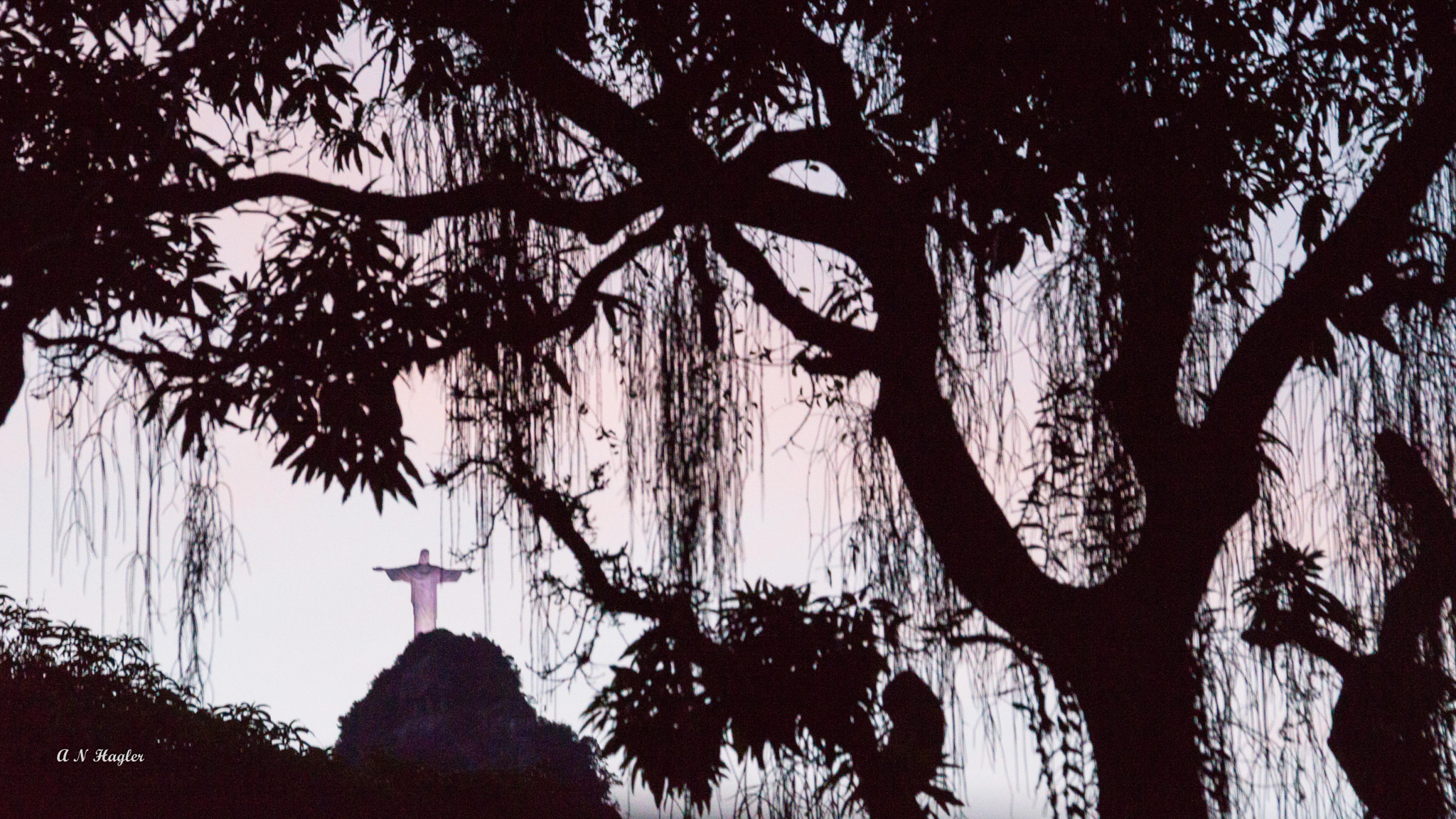 Sony 70-300mm F4.5-5.6 G SSM sample photo. Corcovado at sunset through tree &amp; epiphytes photography