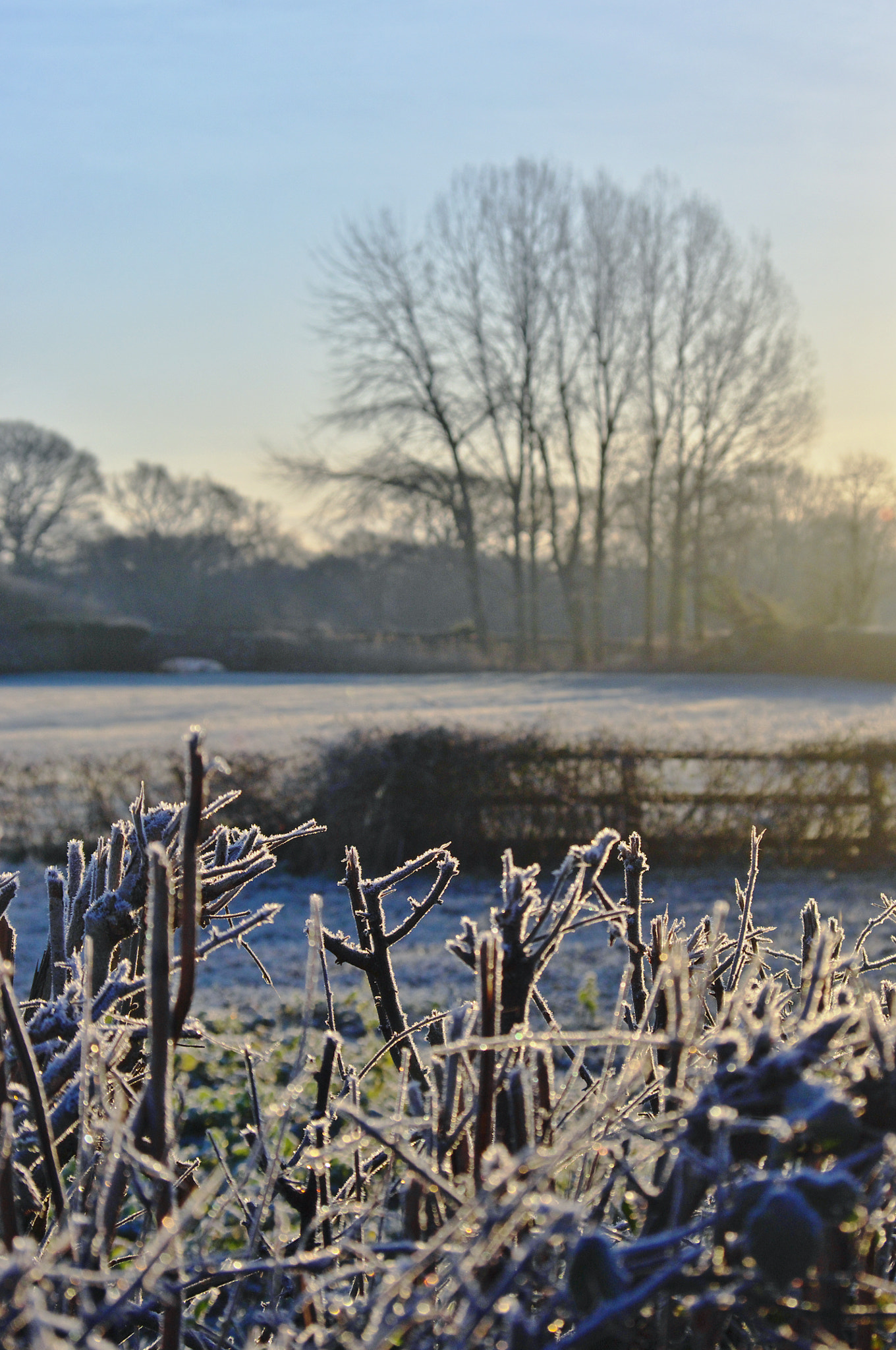 Pentax K-x sample photo. Cold start photography