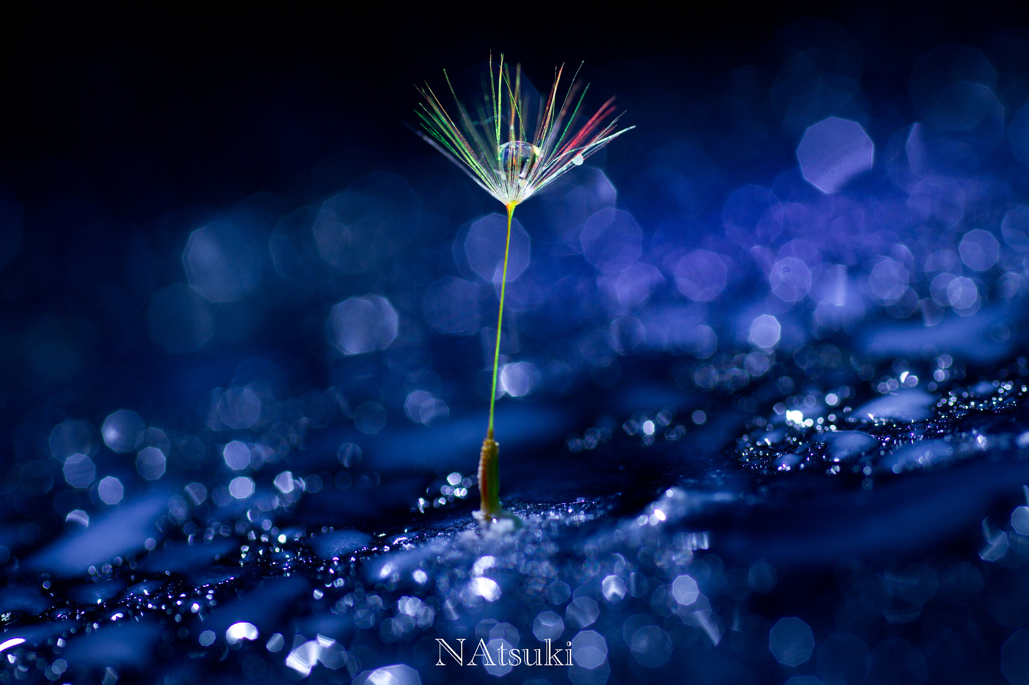 Sigma 50mm f/1.4 EX DG HSM + 1.4x sample photo. Rainbow photography