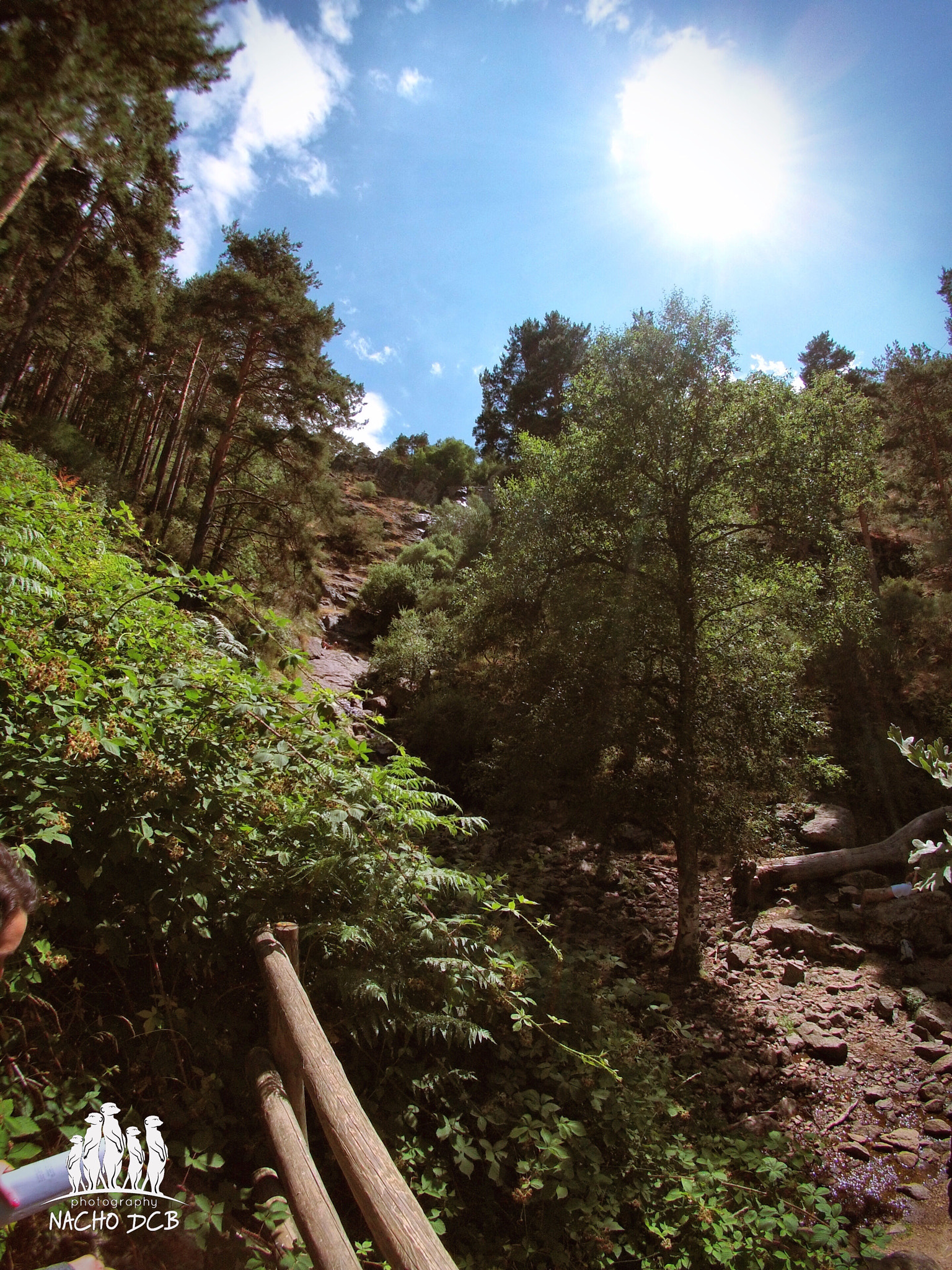 GoPro Hero3-Silver Edition sample photo. Sun... photography