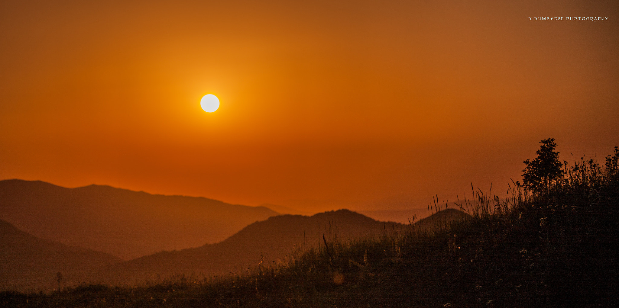 Canon EOS-1Ds Mark III sample photo. Sun.jpg photography