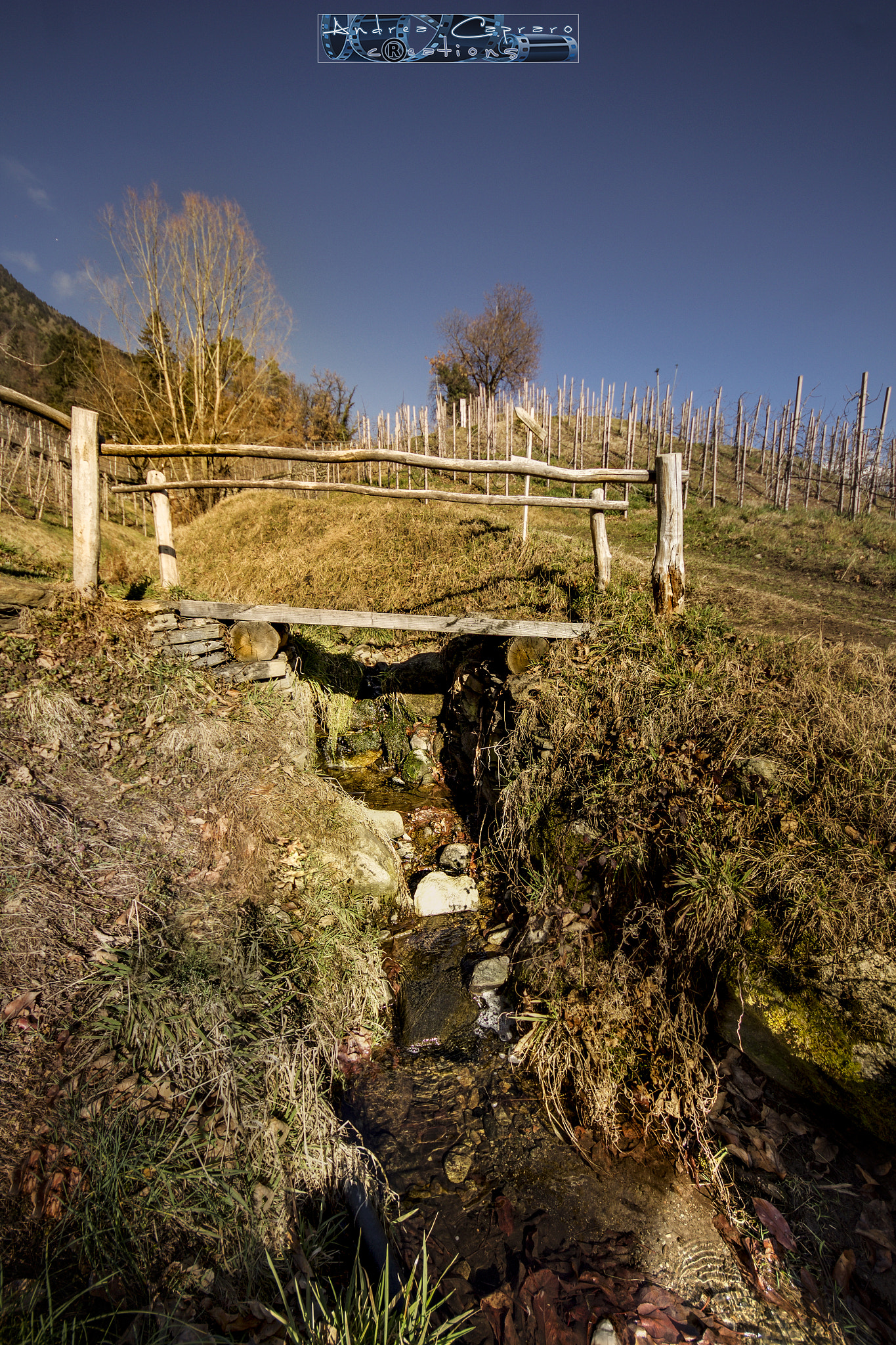 Sigma 8-16mm F4.5-5.6 DC HSM sample photo. On the trail. photography