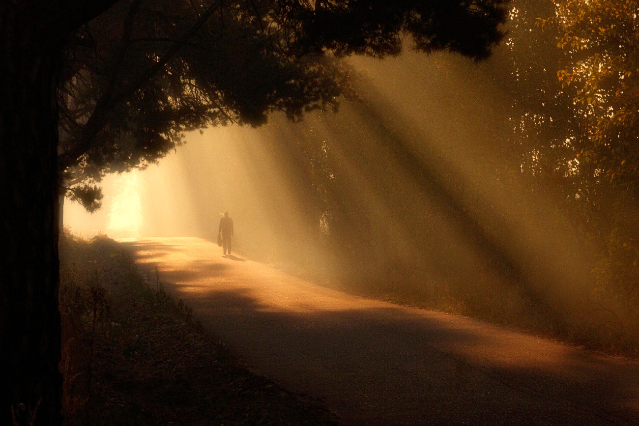 Nikon D200 sample photo. On part of the light photography