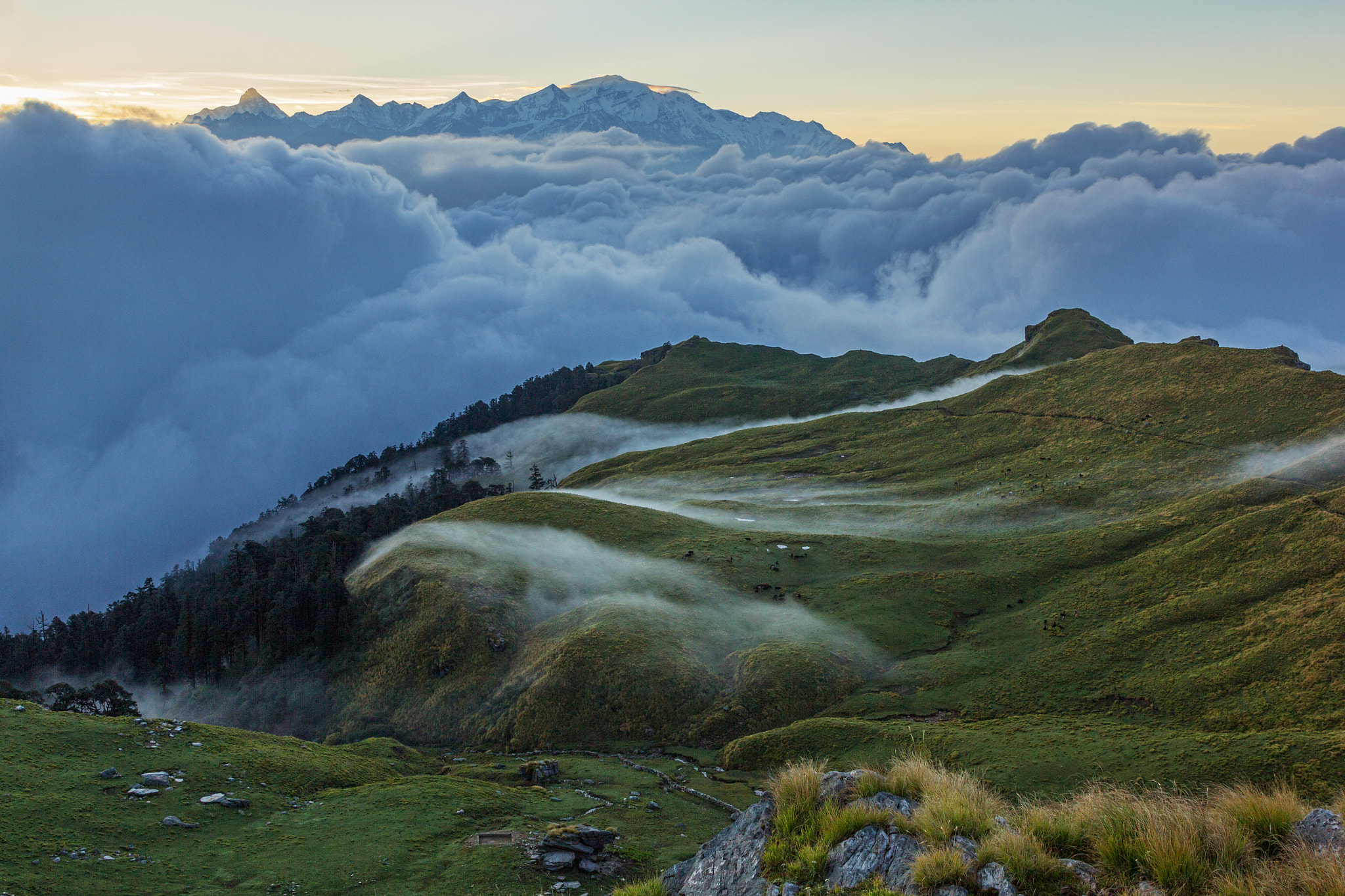 Canon EF 24-70mm F2.8L II USM sample photo. The alpine pastures of rudranath, himalayas photography