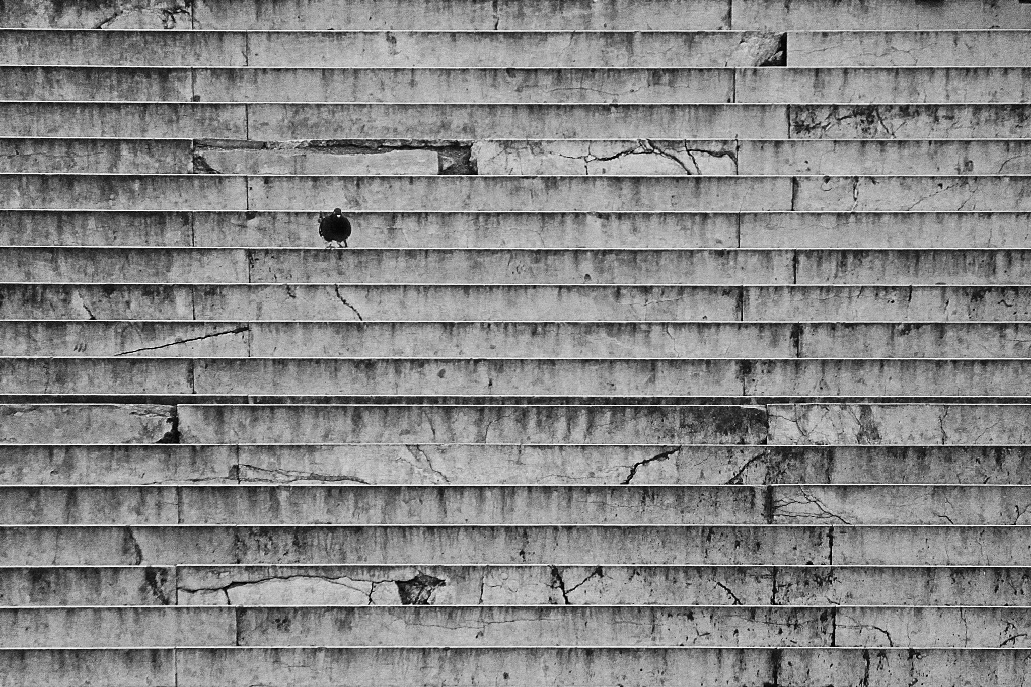 Canon EOS 500D (EOS Rebel T1i / EOS Kiss X3) sample photo. Alienation photography