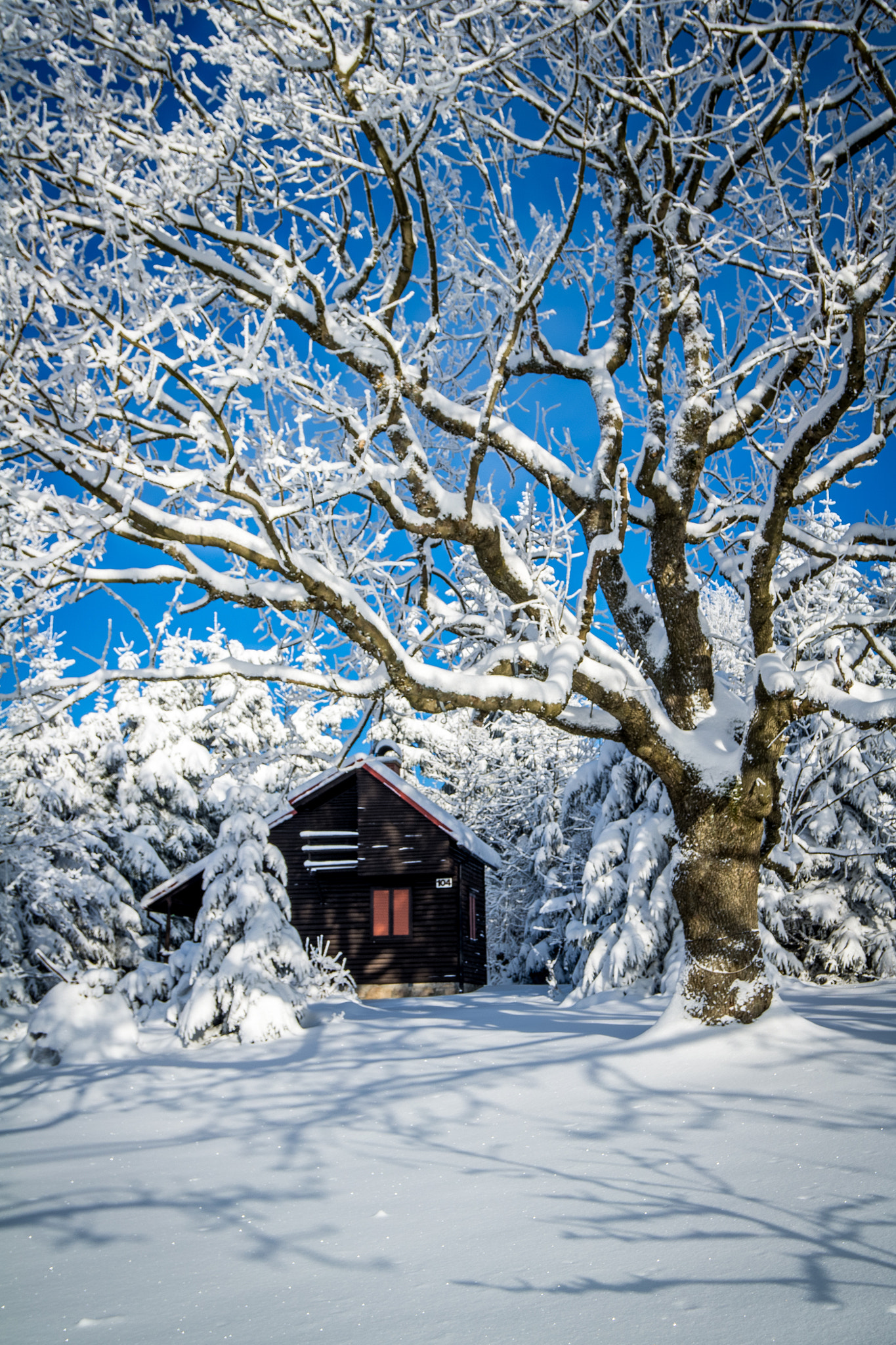 Samsung NX30 + Samsung NX 12-24mm F4-5.6 ED sample photo. Winter landscape photography