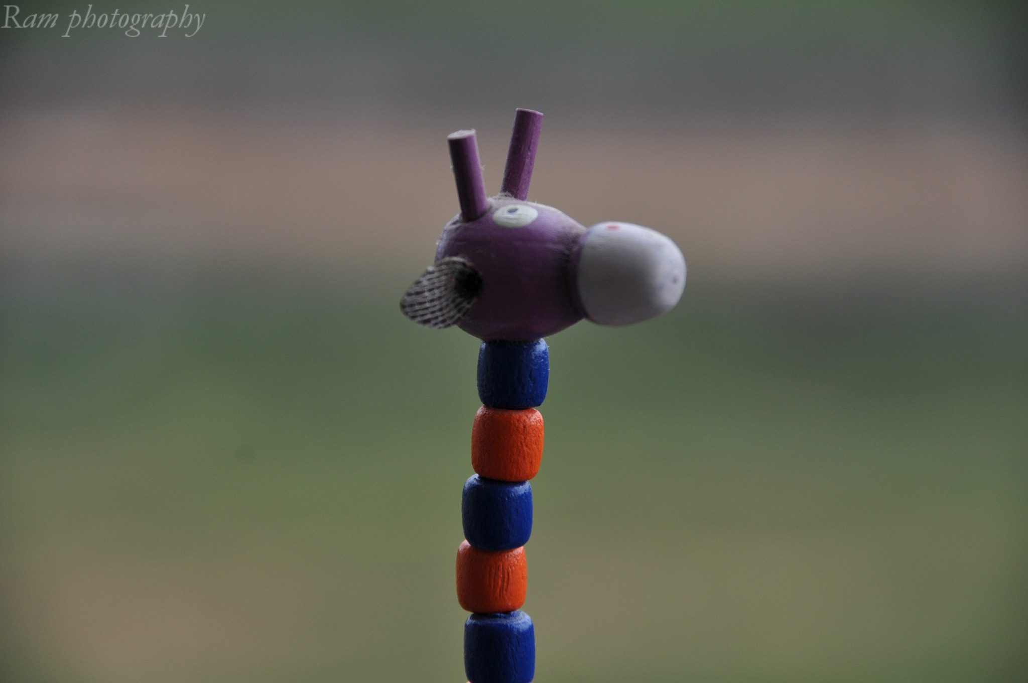 Sigma 18-250mm F3.5-6.3 DC Macro OS HSM sample photo. Mooo photography