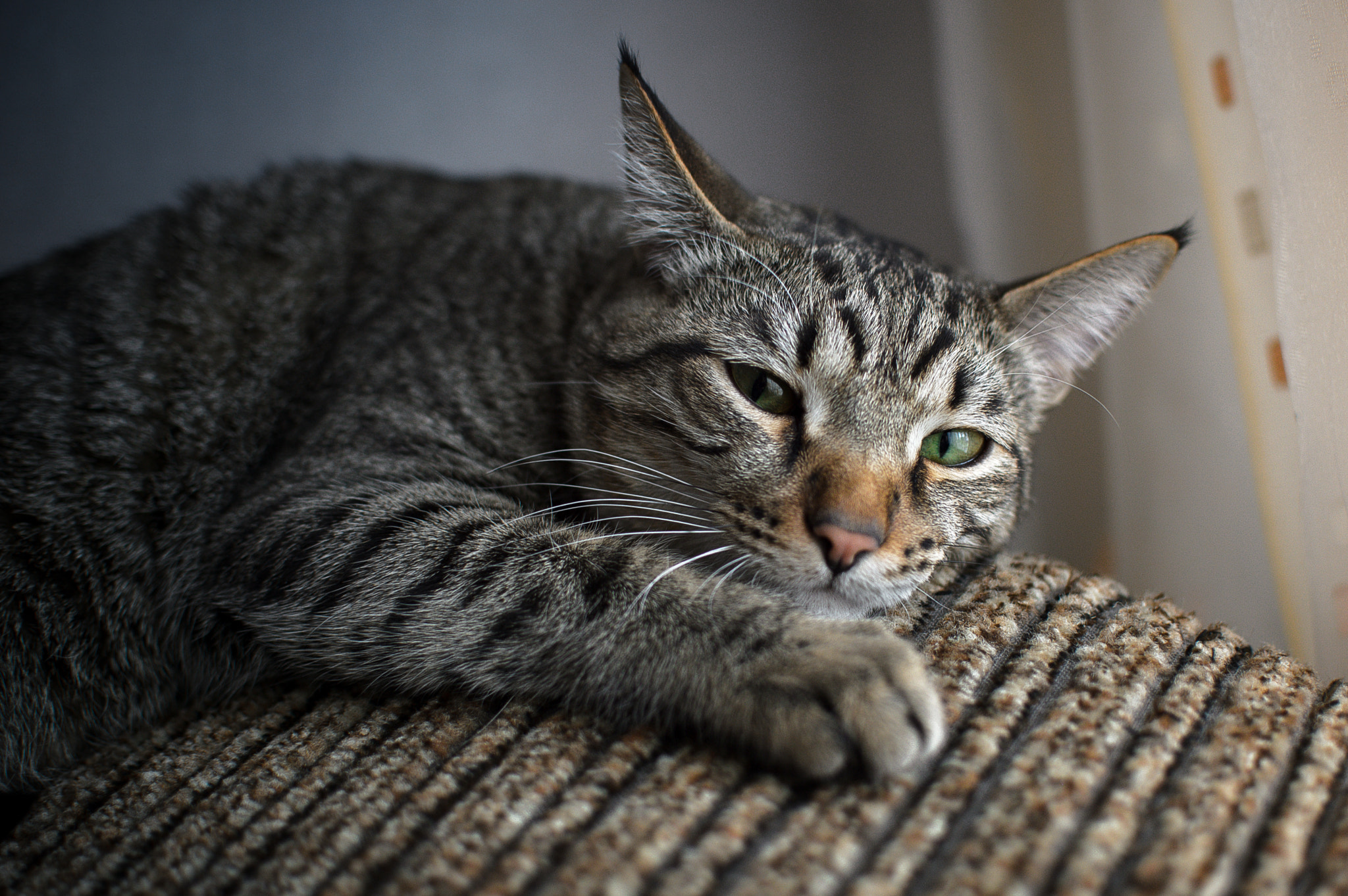 Nikon Df + Nikon AF-S DX Nikkor 35mm F1.8G sample photo. Dsc_3923-2.jpg photography