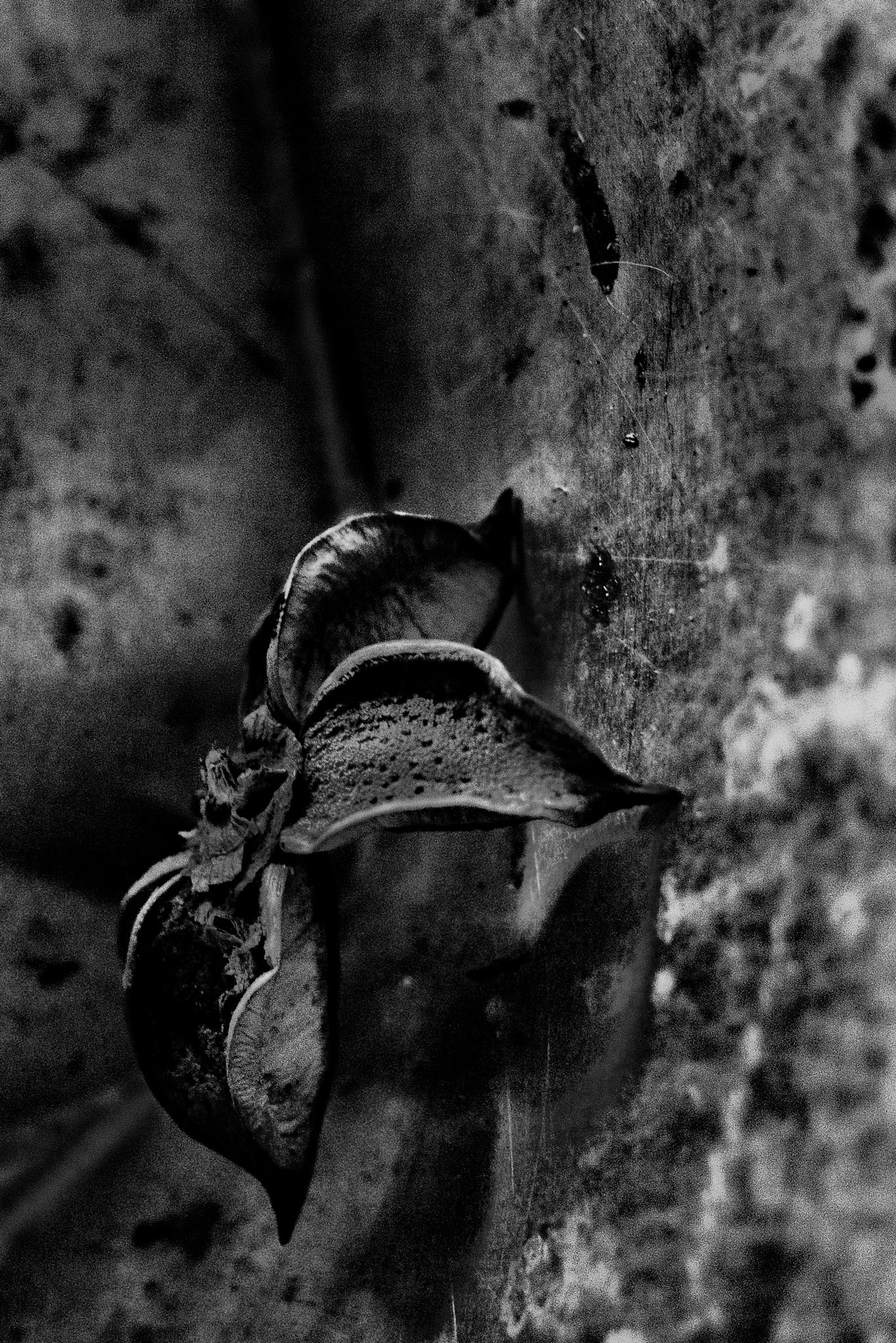 Canon EF 24mm F2.8 IS USM sample photo. Tricky climb photography