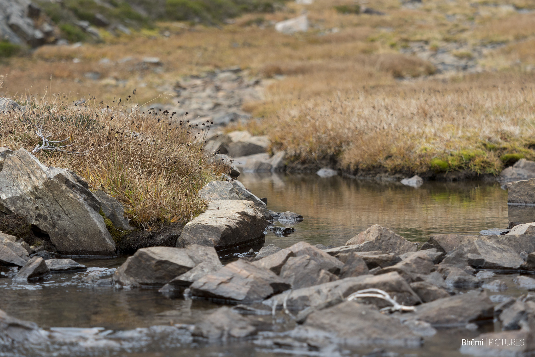 Panasonic Lumix DMC-GH4 + Olympus M.Zuiko Digital ED 40-150mm F2.8 Pro sample photo. Alpine stream photography
