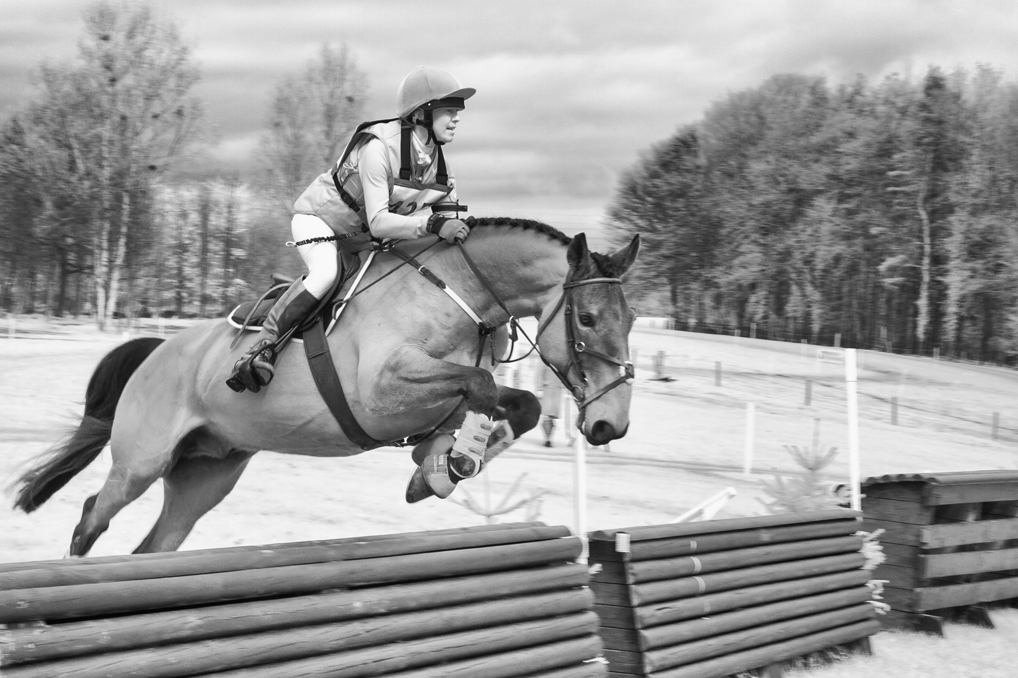 Canon 24.0-105.0 mm sample photo. Over the fence photography