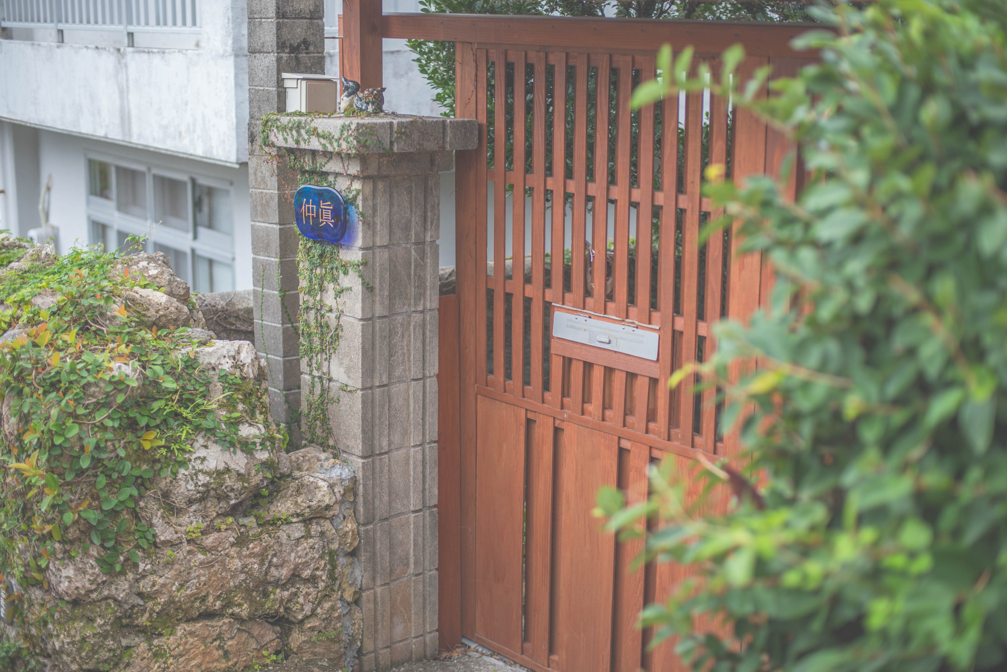 Nikon D750 + AF Nikkor 50mm f/1.4 sample photo. Door photography