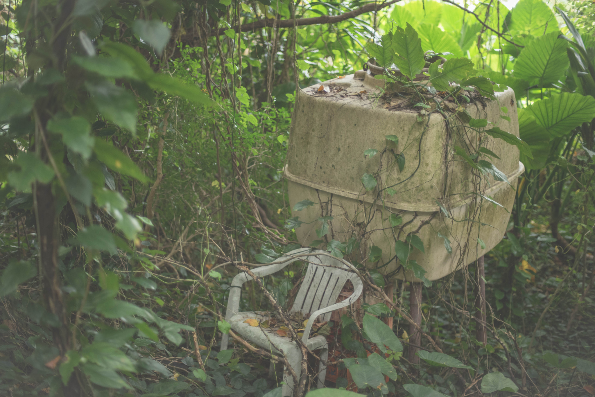 Nikon D750 + AF Nikkor 50mm f/1.4 sample photo. The lost place photography