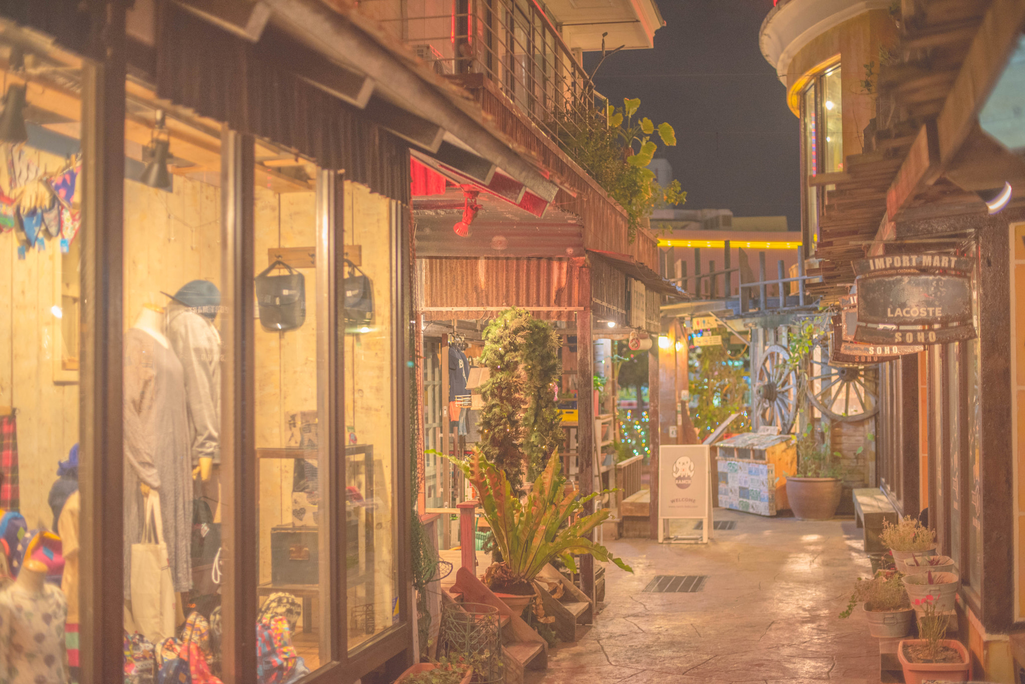 Nikon D750 + AF Nikkor 50mm f/1.4 sample photo. The night of american village photography