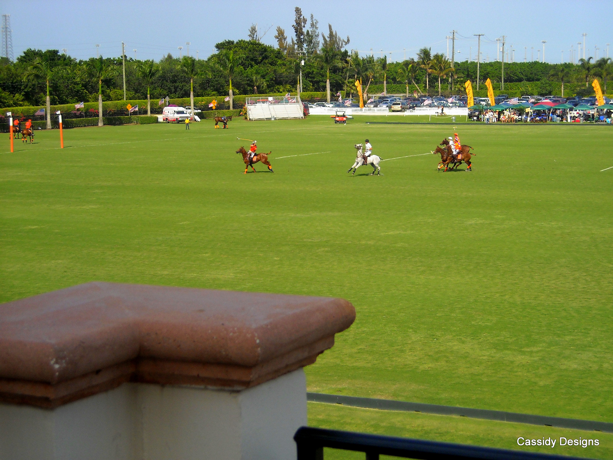 Nikon Coolpix L16 sample photo. Polo in wellington photography