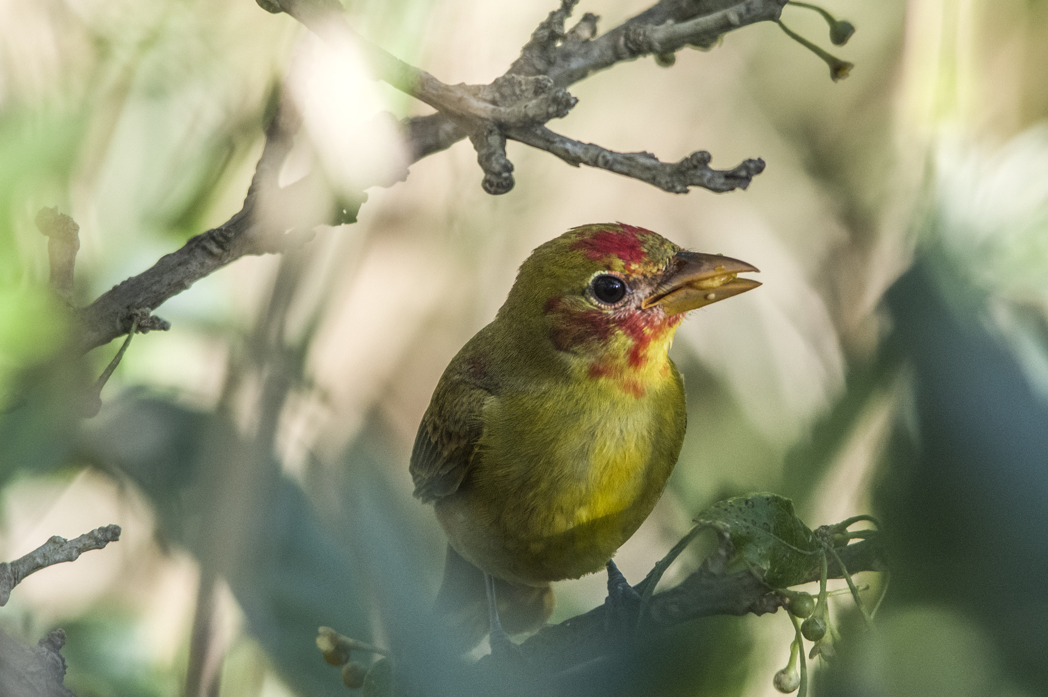 Pentax K-3 II + Sigma 150-500mm F5-6.3 DG OS HSM sample photo. Lunch time photography