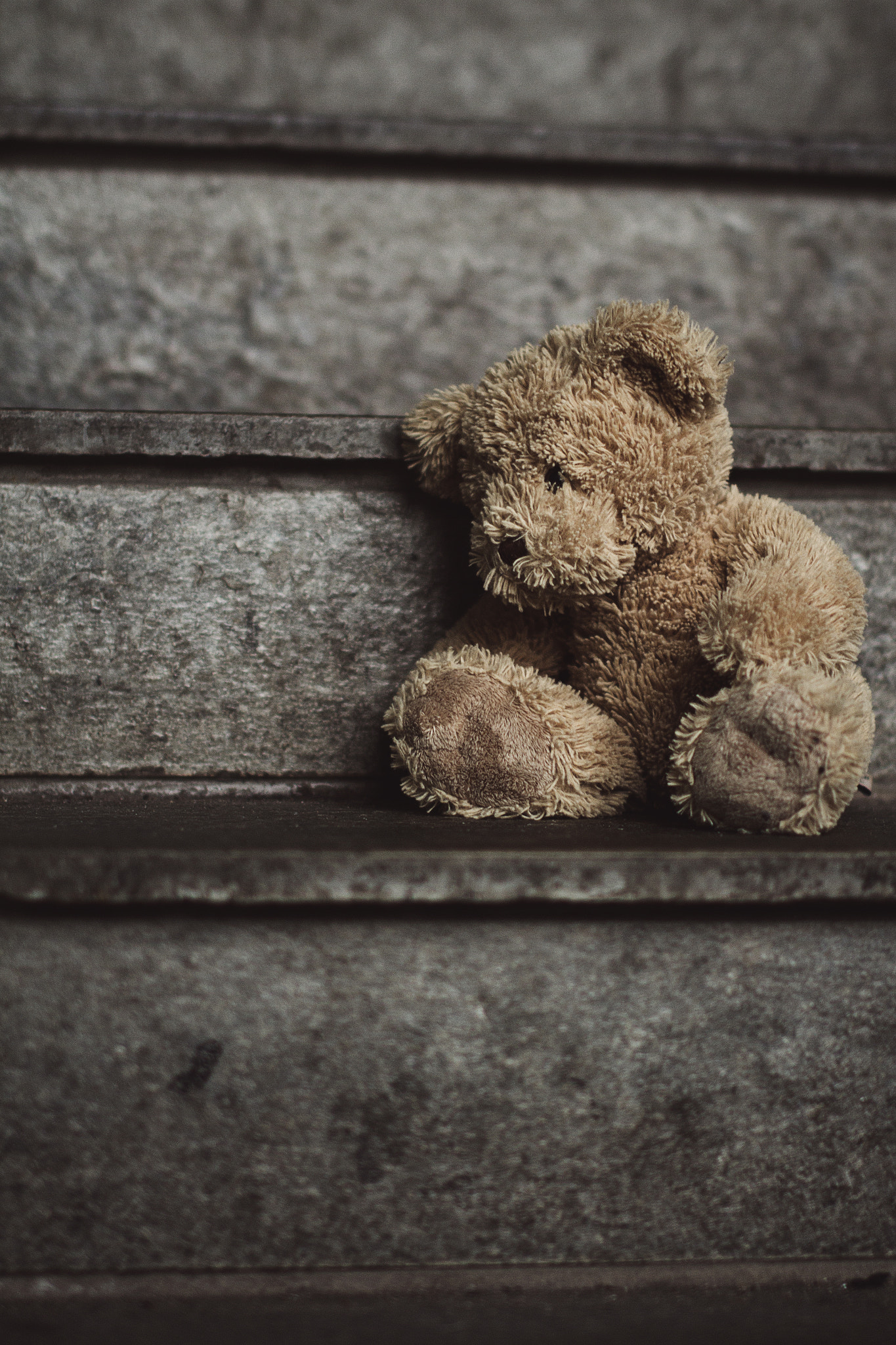 Canon EOS 650D (EOS Rebel T4i / EOS Kiss X6i) + Sigma 50mm F1.4 EX DG HSM sample photo. Lonely teddy photography