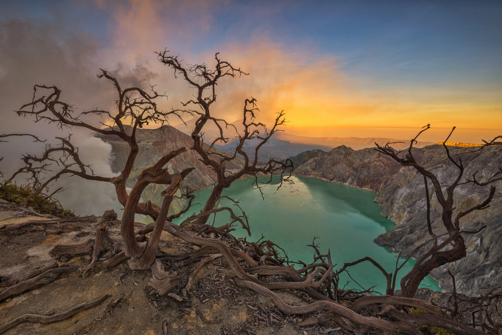 Dancing Trees of Kawah Ijen by Kristianus Setyawan on 500px.com