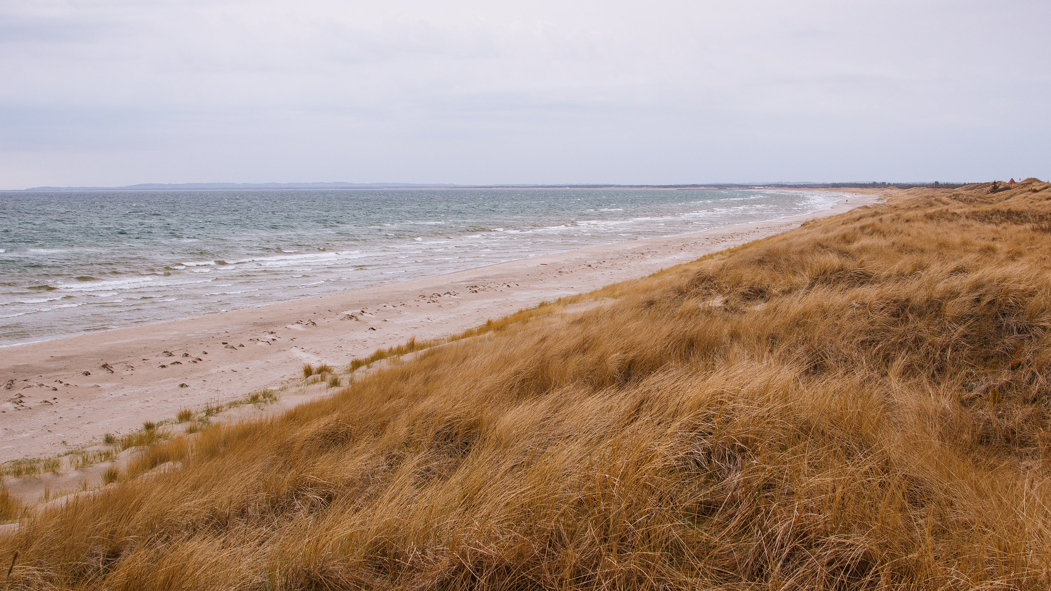 Canon EF 28-105mm f/3.5-4.5 USM sample photo. Skagen shore photography