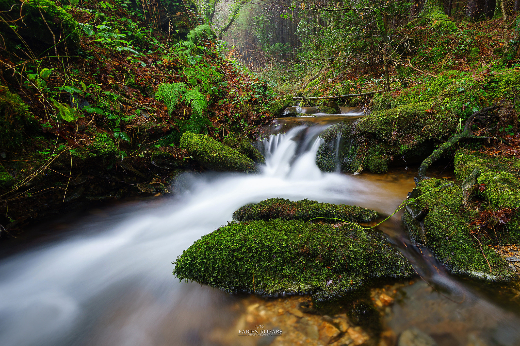 Sony a7 + Tamron SP 24-70mm F2.8 Di VC USD sample photo. Gorges du rhun du photography