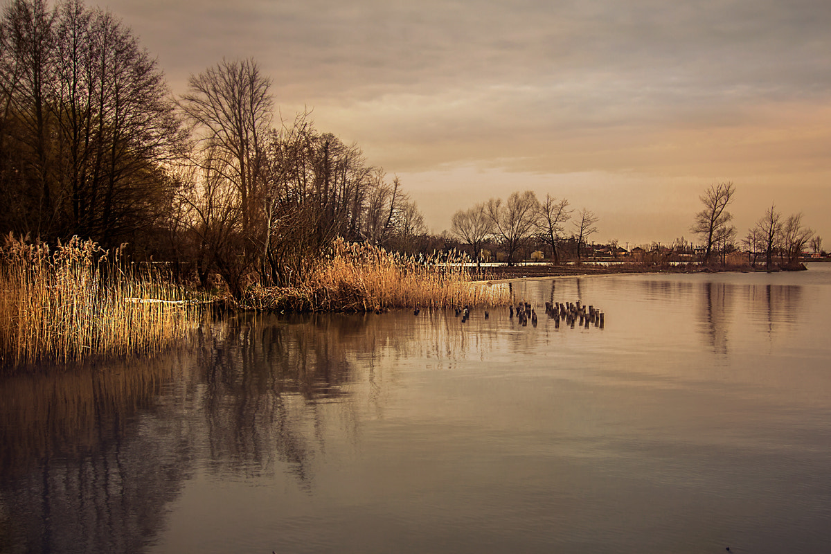 Tokina AT-X Pro 12-24mm F4 (IF) DX sample photo. The silence of nature photography