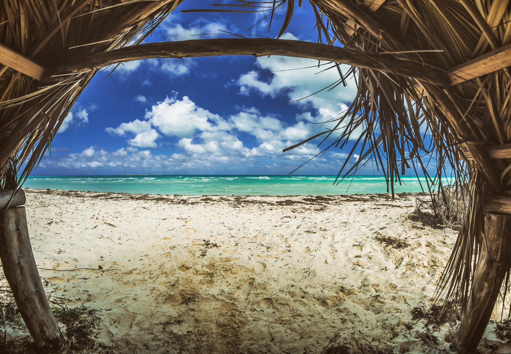 Nikon D7200 + Samyang 8mm F3.5 Aspherical IF MC Fisheye sample photo. Cayo santa maria photography