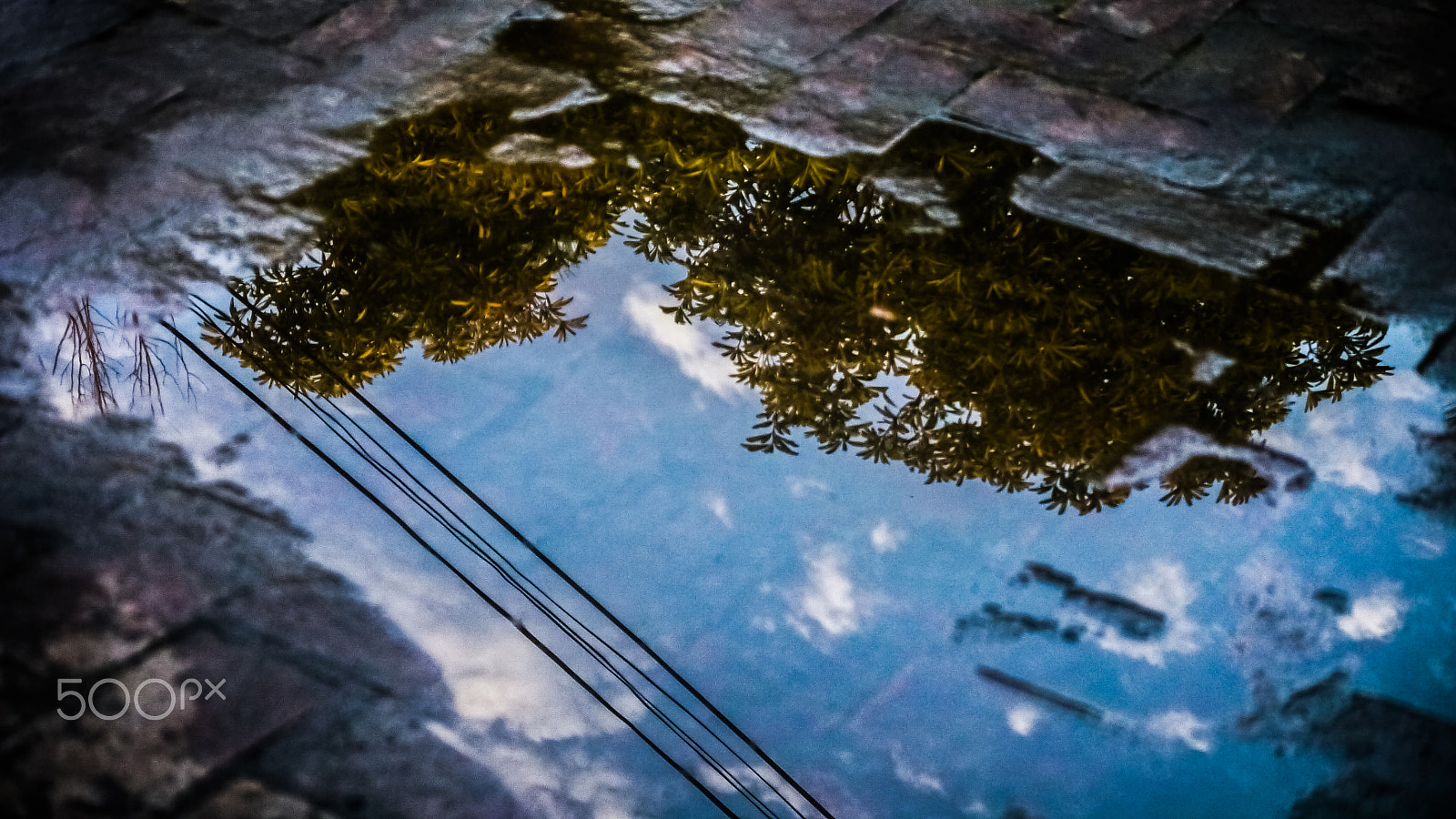 Panasonic Lumix DMC-GH1 sample photo. The puddle photography