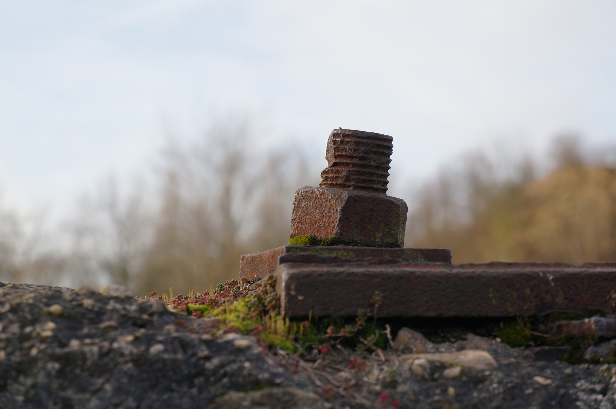 Sony E 18-55mm F3.5-5.6 OSS sample photo. Big screw photography