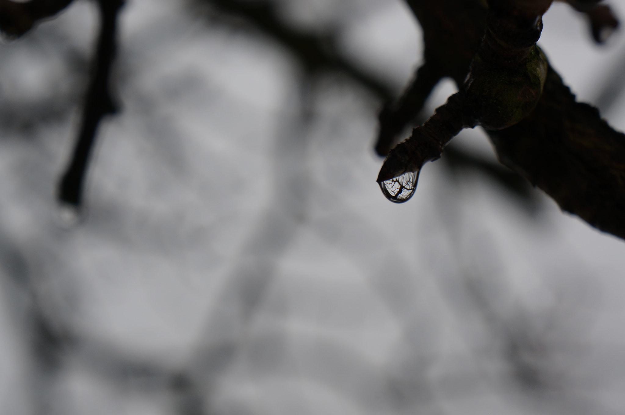 Sony E 18-55mm F3.5-5.6 OSS sample photo. Drop photography