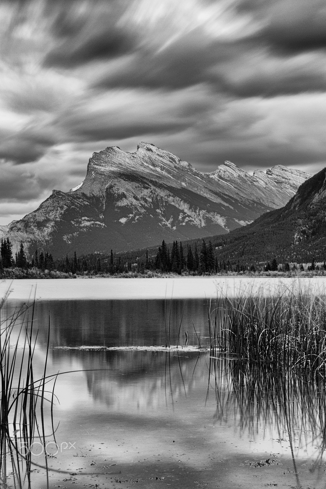 Sigma 18-250mm F3.5-6.3 DC OS HSM sample photo. Rundle photography