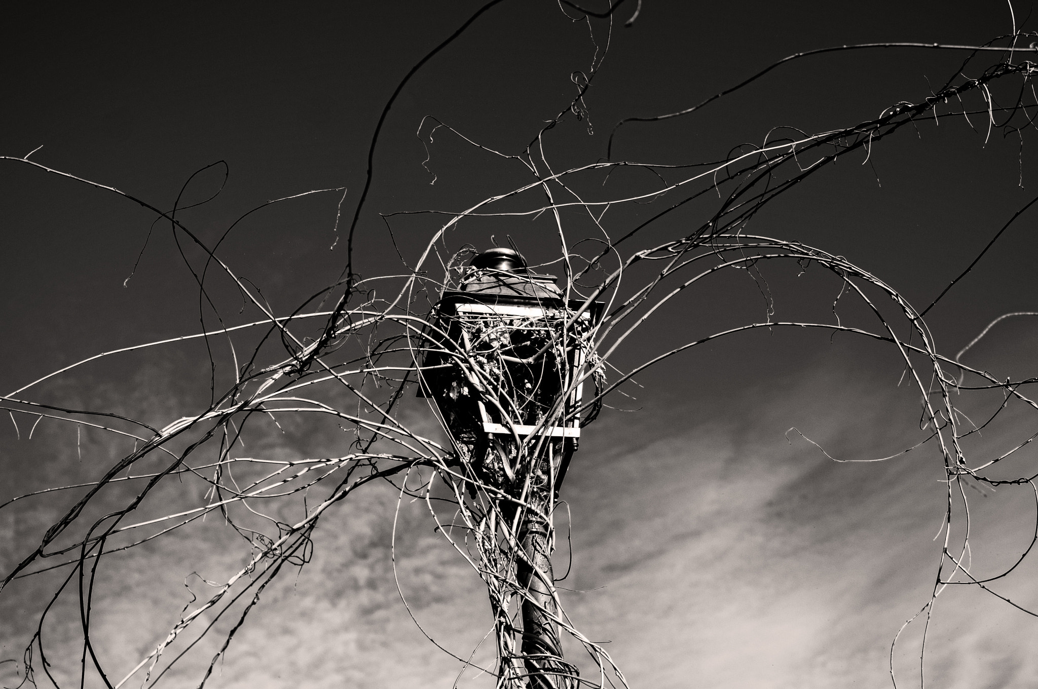 Pentax K-r + Pentax smc DA 35mm F2.4 AL sample photo. Haunted lamppost photography