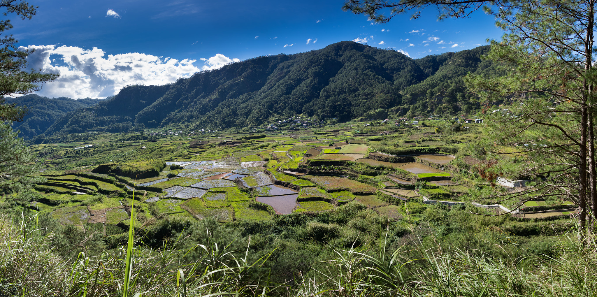 Pentax K-3 II sample photo. Rice terraces photography